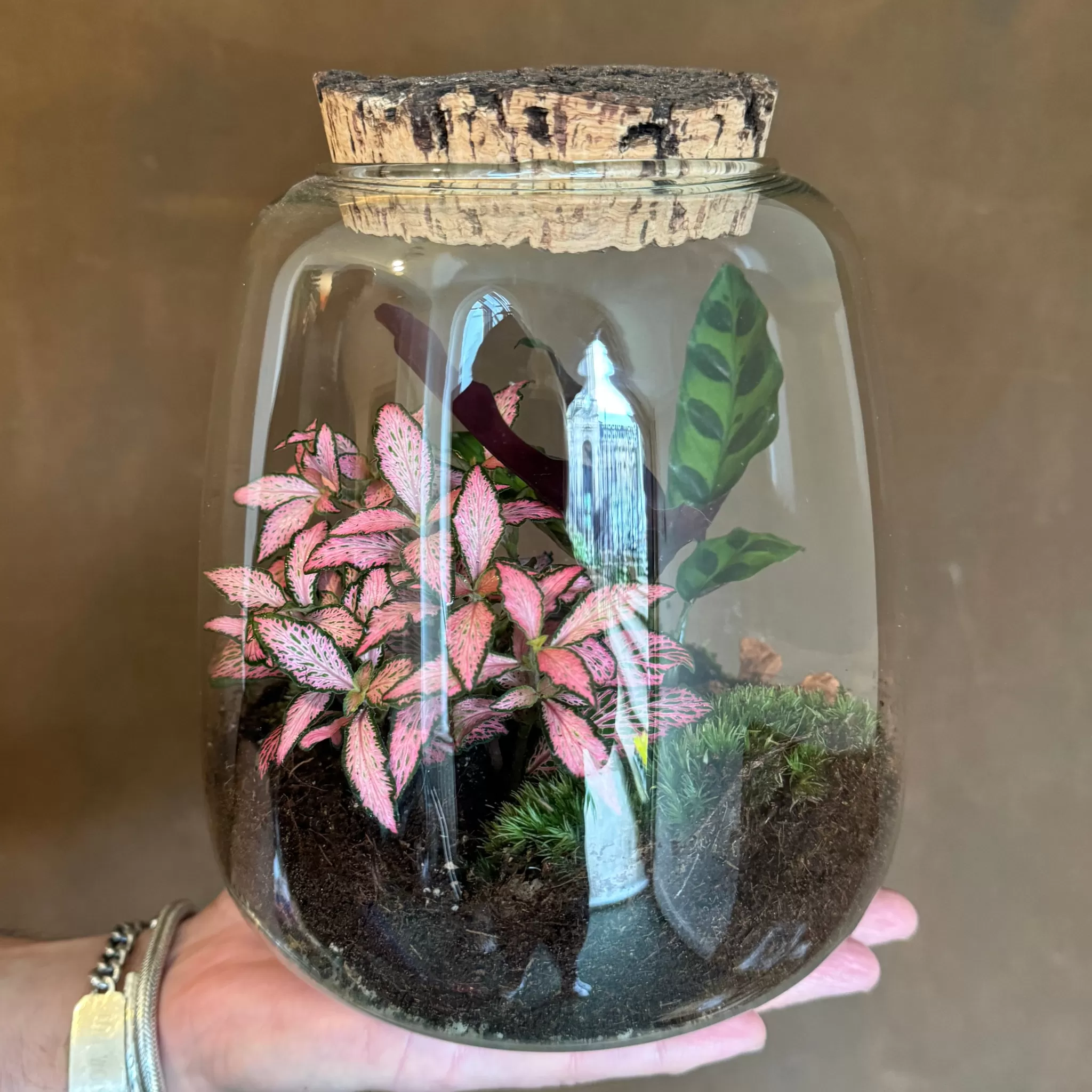 grow urban Balle Terrarium - Aged Cork- Gift Ideas | Gift Ideas