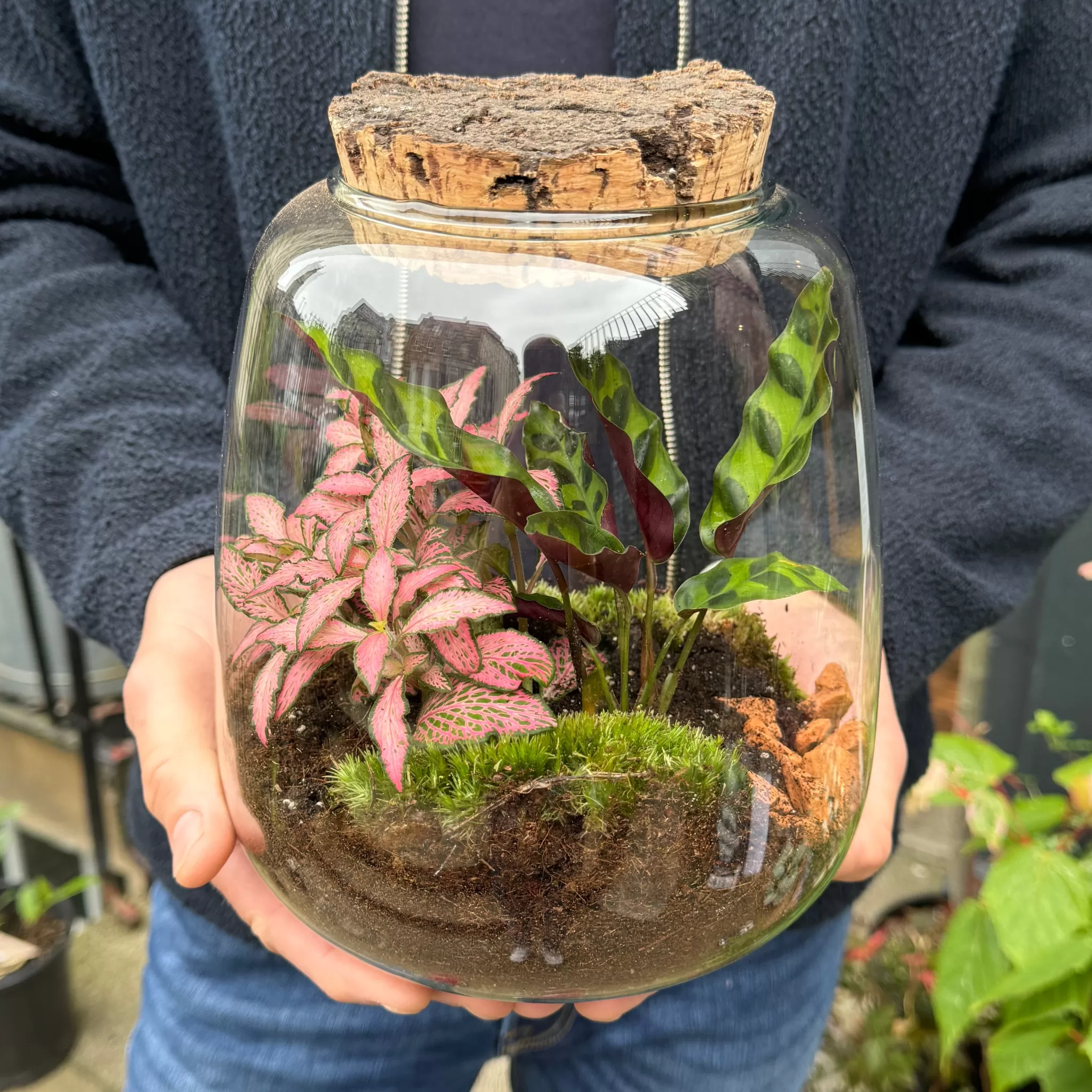 grow urban Balle Terrarium - Aged Cork- Gift Ideas | Gift Ideas