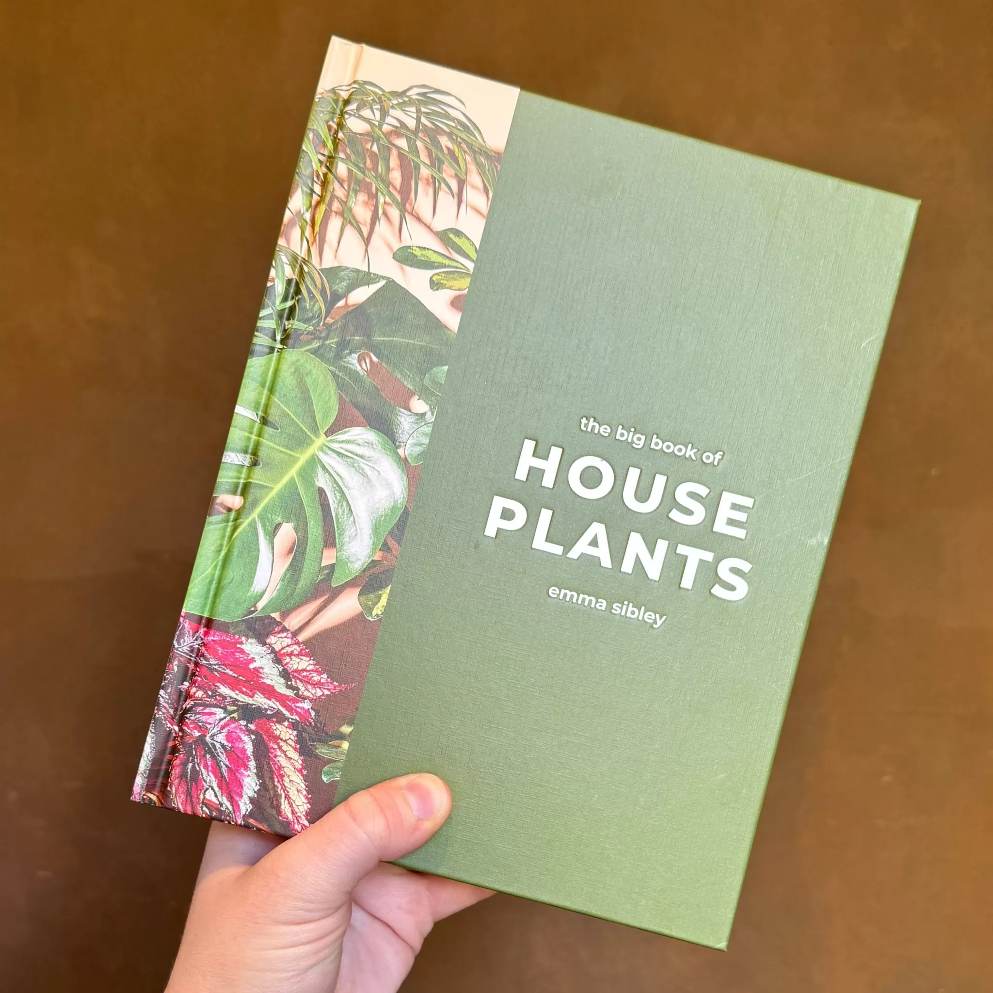 grow urban Big Book Of House Plants- Books