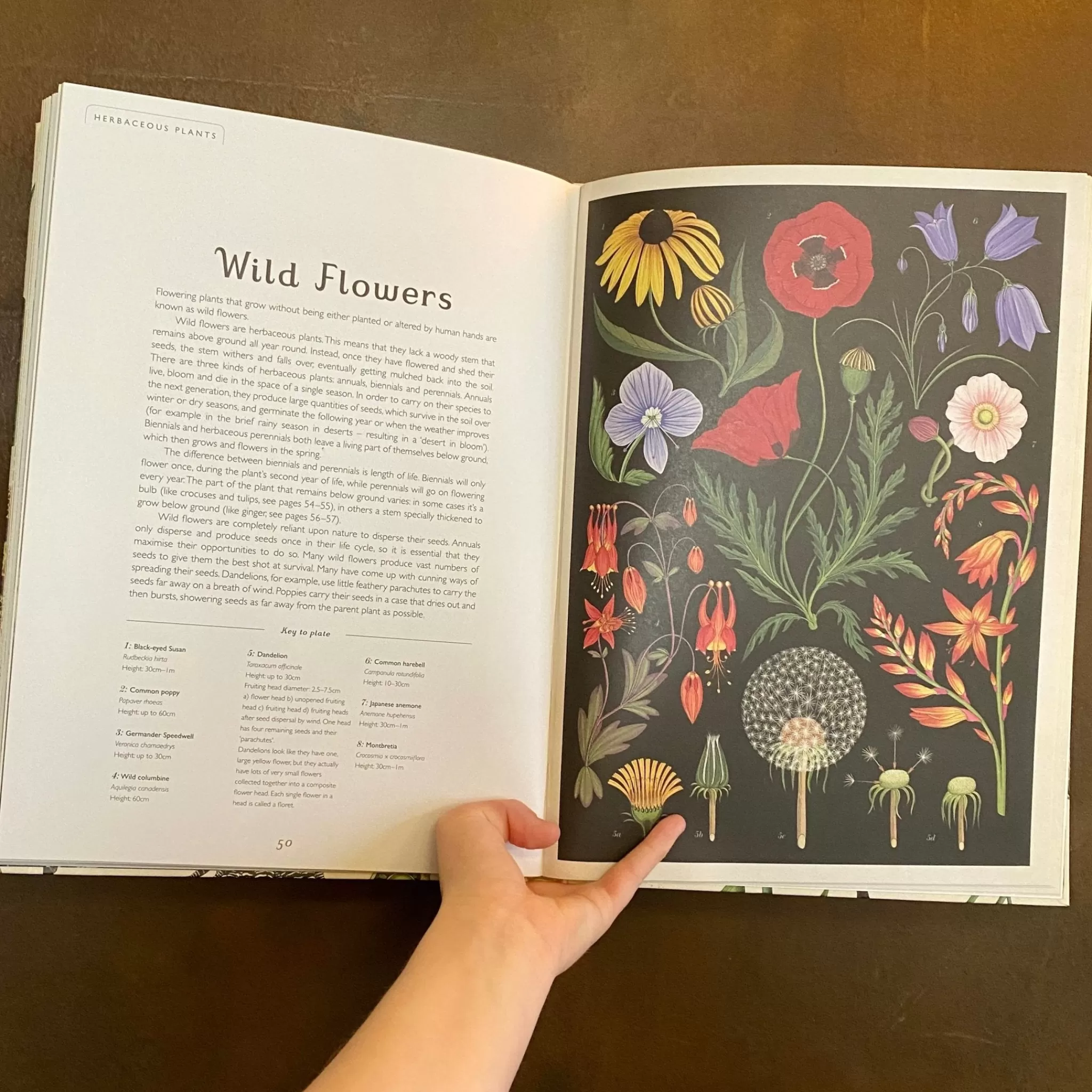 grow urban Botanicum- Books