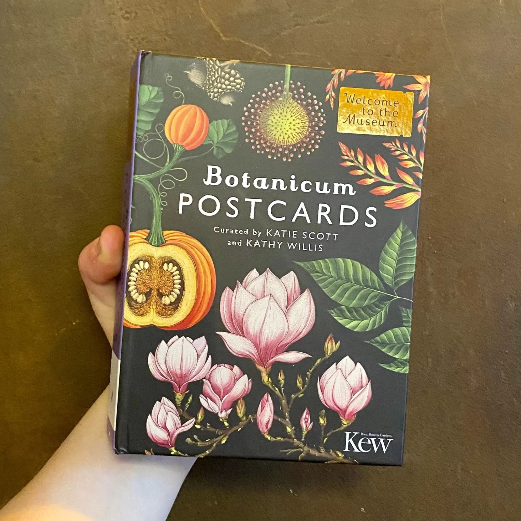grow urban Botanicum Box Of 50 Postcards- Stationery | Gift Ideas