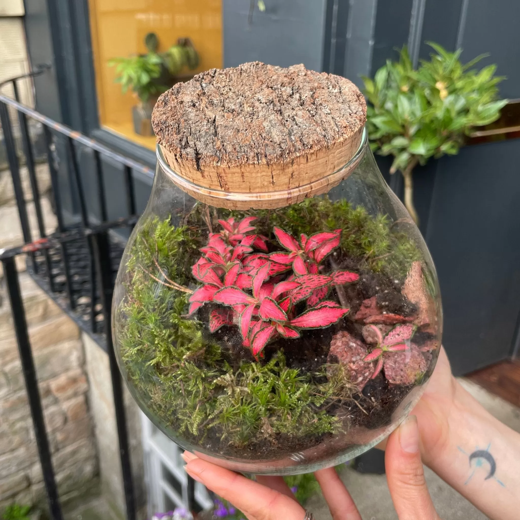 grow urban Bulb Terrarium - Aged Cork- Gift Ideas | Gift Ideas
