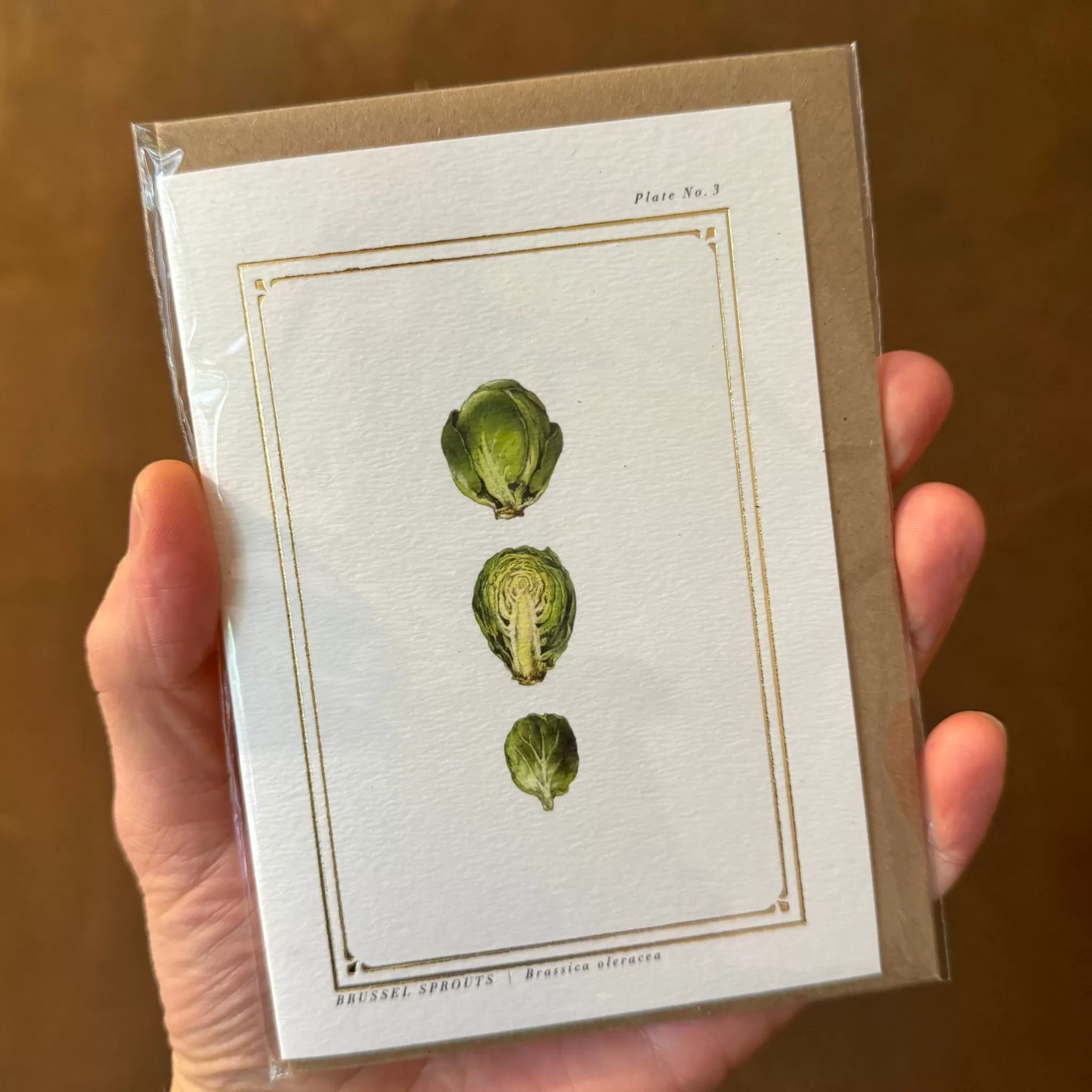 grow urban Christmas Cards | Catherine Lewis- Stationery | Christmas Cards