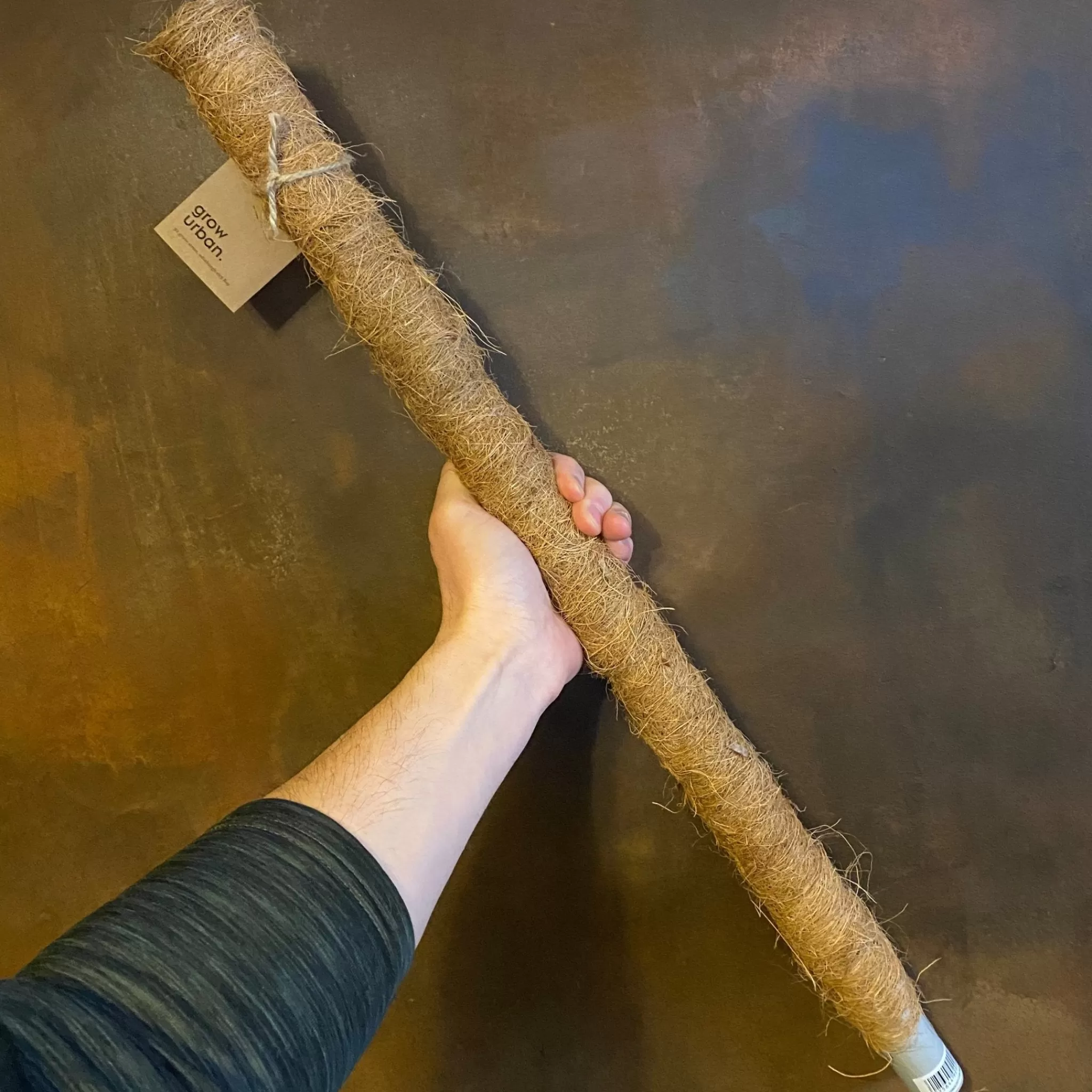grow urban Coir Pole- Indoor Plant Care