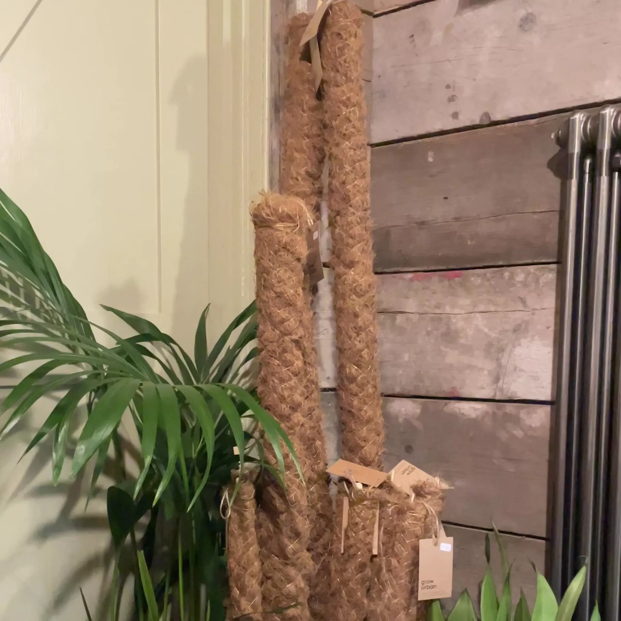 grow urban Coir Pole- Indoor Plant Care