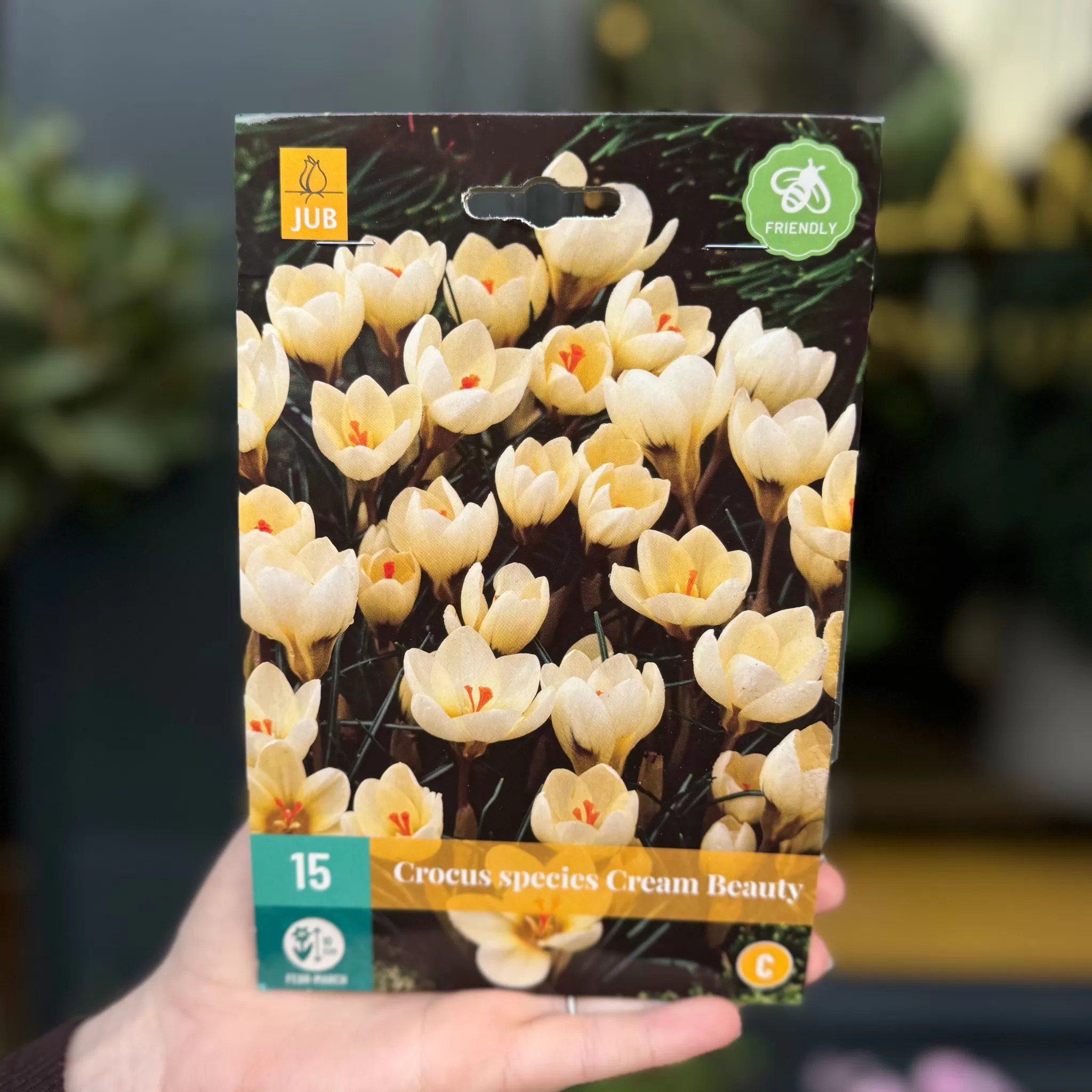 grow urban Crocus Bulbs For Autumn Planting- Seeds & Bulbs | Outdoor Plants