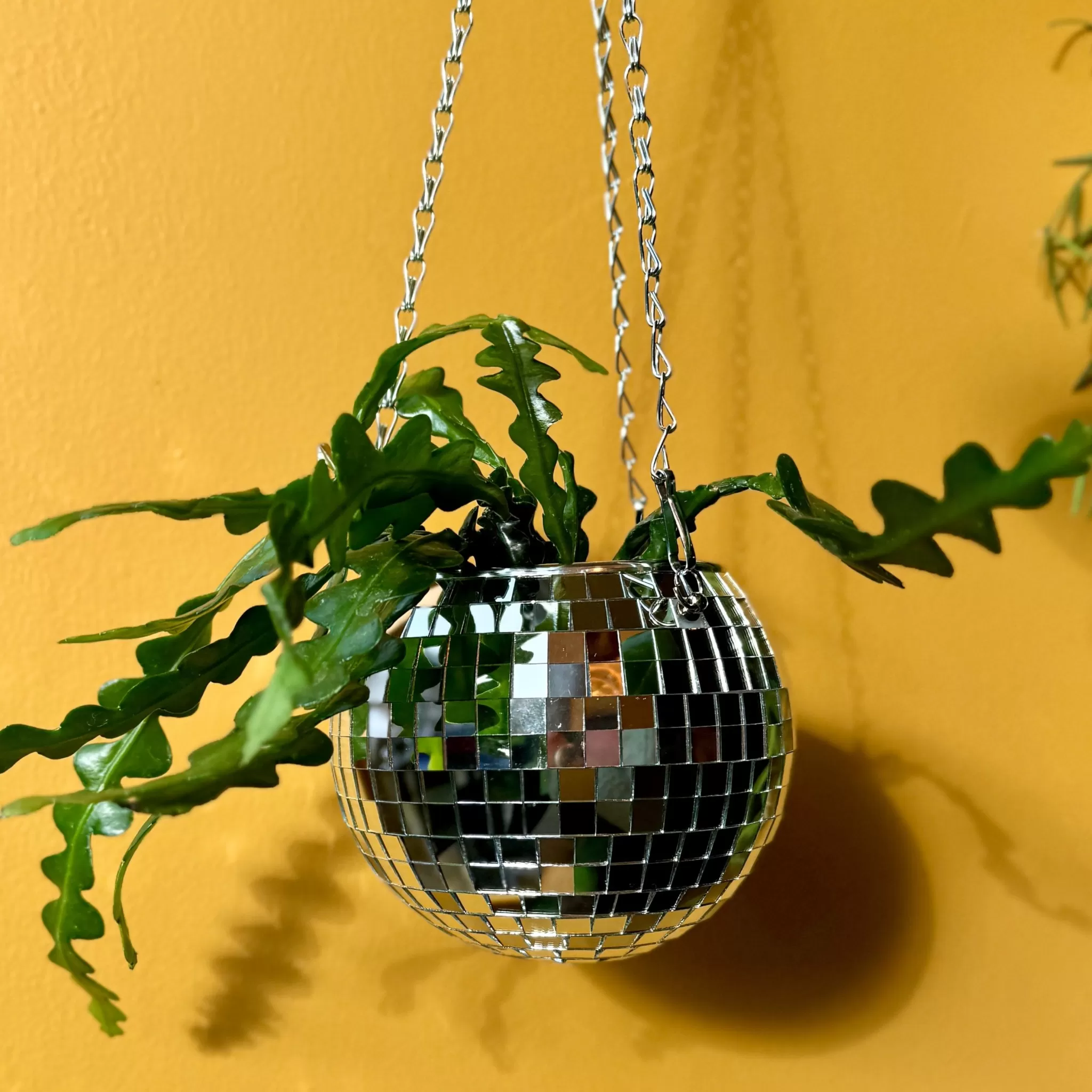 grow urban Disco Ball Hanging Planter (6 Inch)- Home Decor & Hardware | Gift Ideas