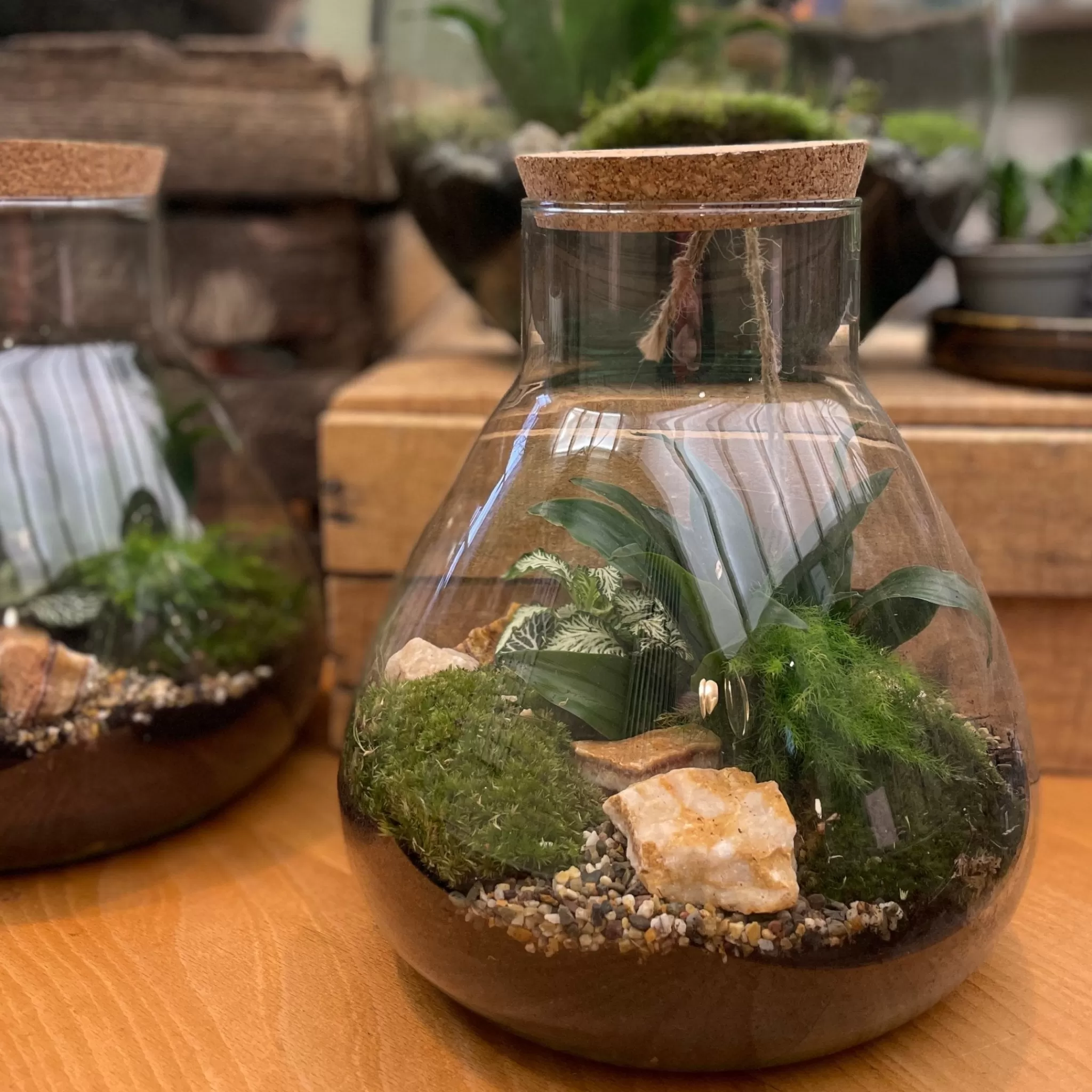grow urban Flask Terrarium- Gift Ideas | Gift Ideas