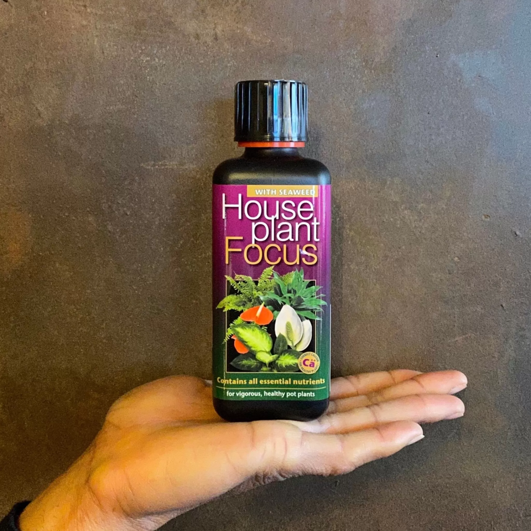 grow urban Focus Plant Feeds- Indoor Plant Care