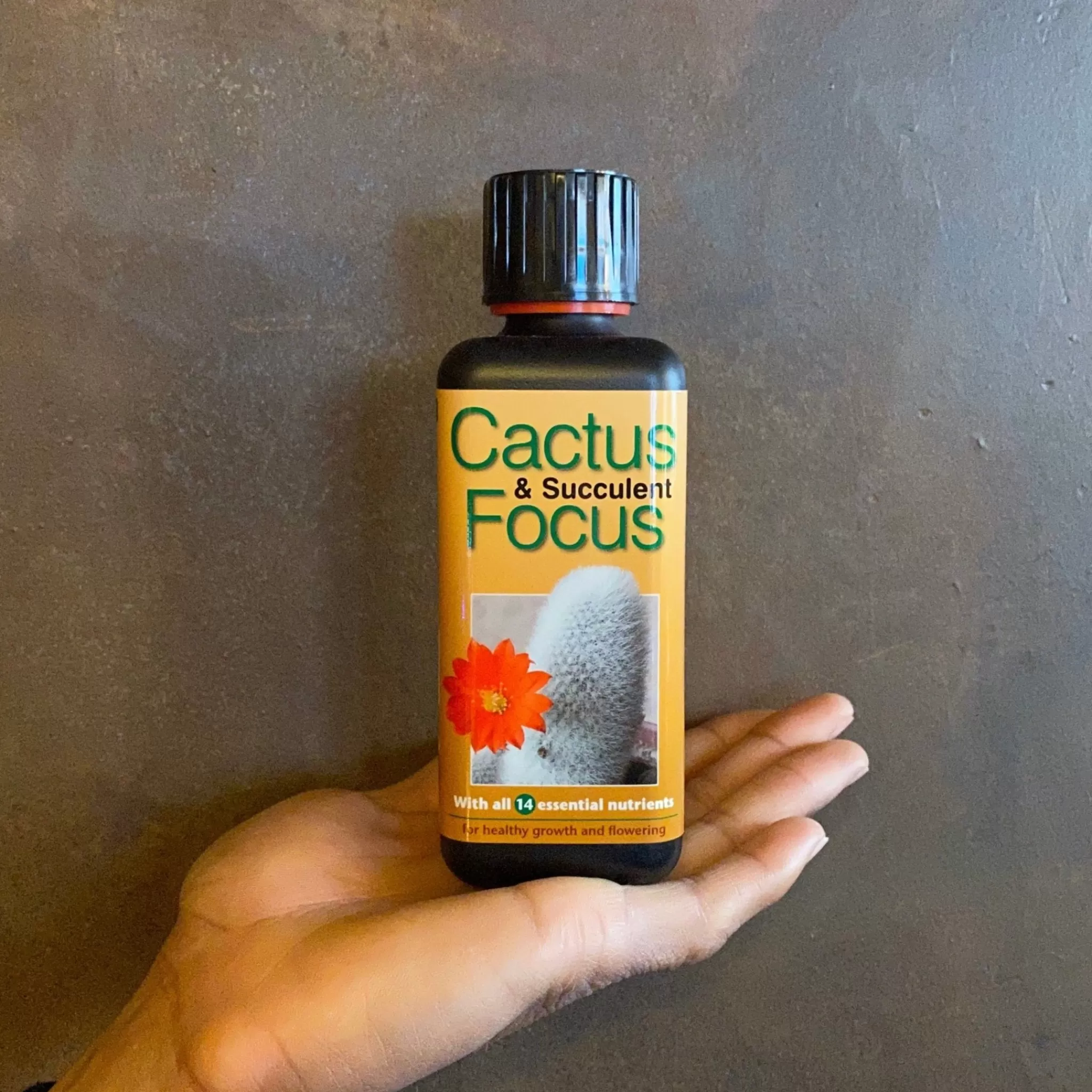 grow urban Focus Plant Feeds- Indoor Plant Care