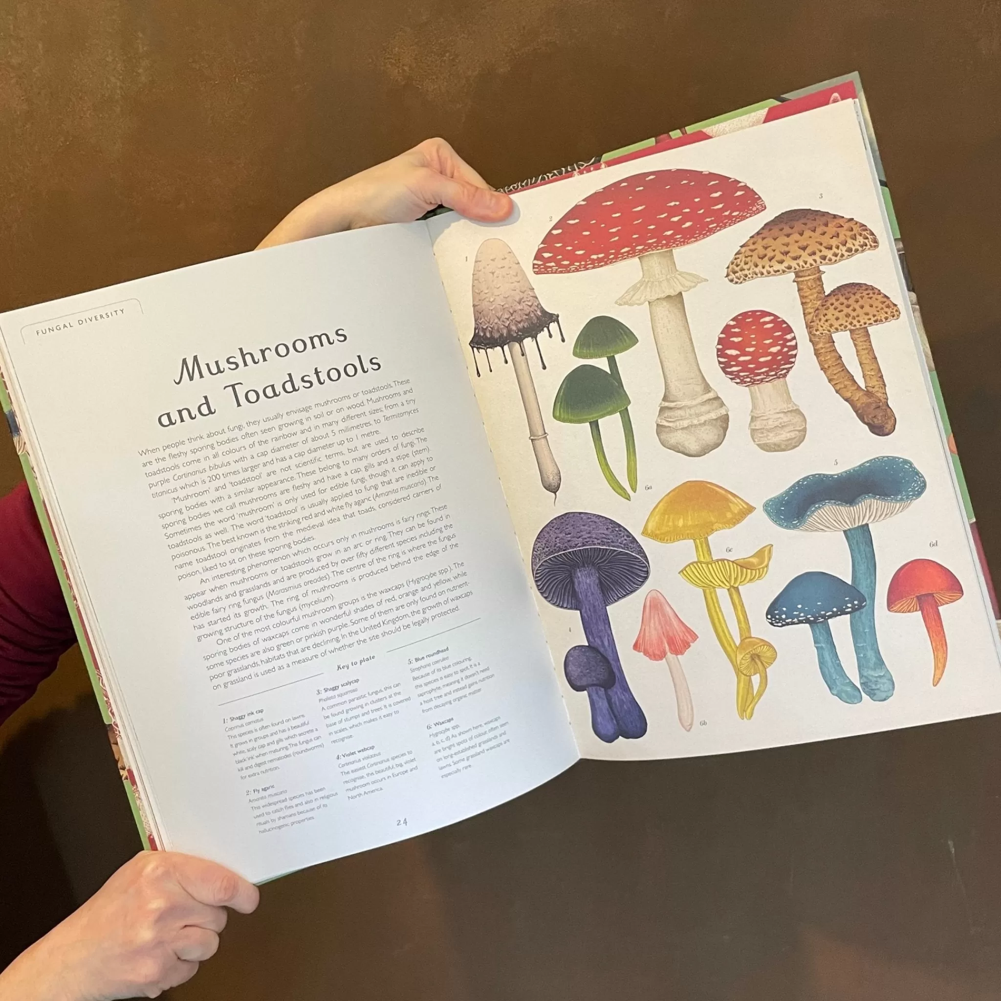 grow urban Fungarium- Books