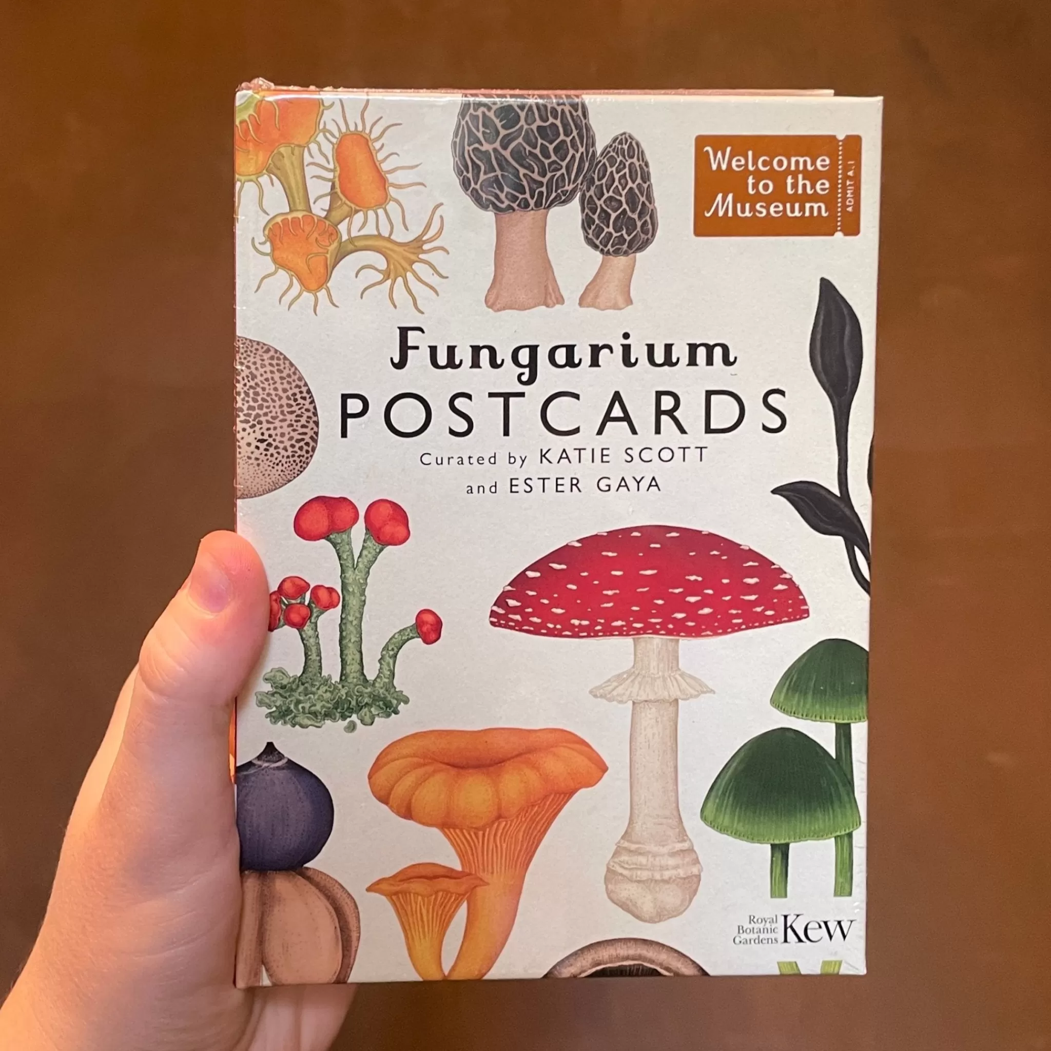 grow urban Fungarium Box Of 50 Postcards- Stationery | Gift Ideas