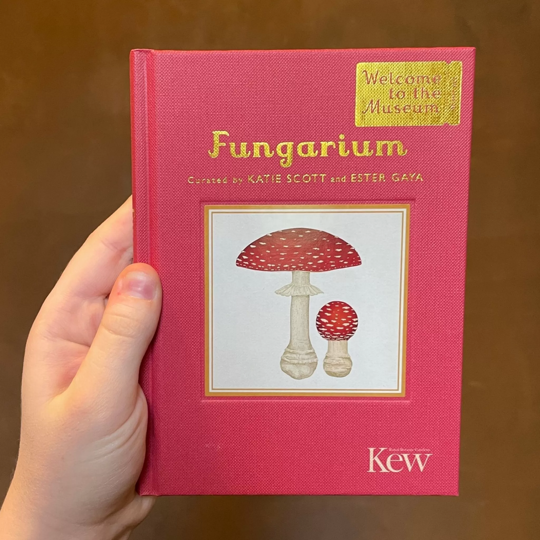 grow urban Fungarium (Mini Gift Edition)- Books | Stocking Fillers