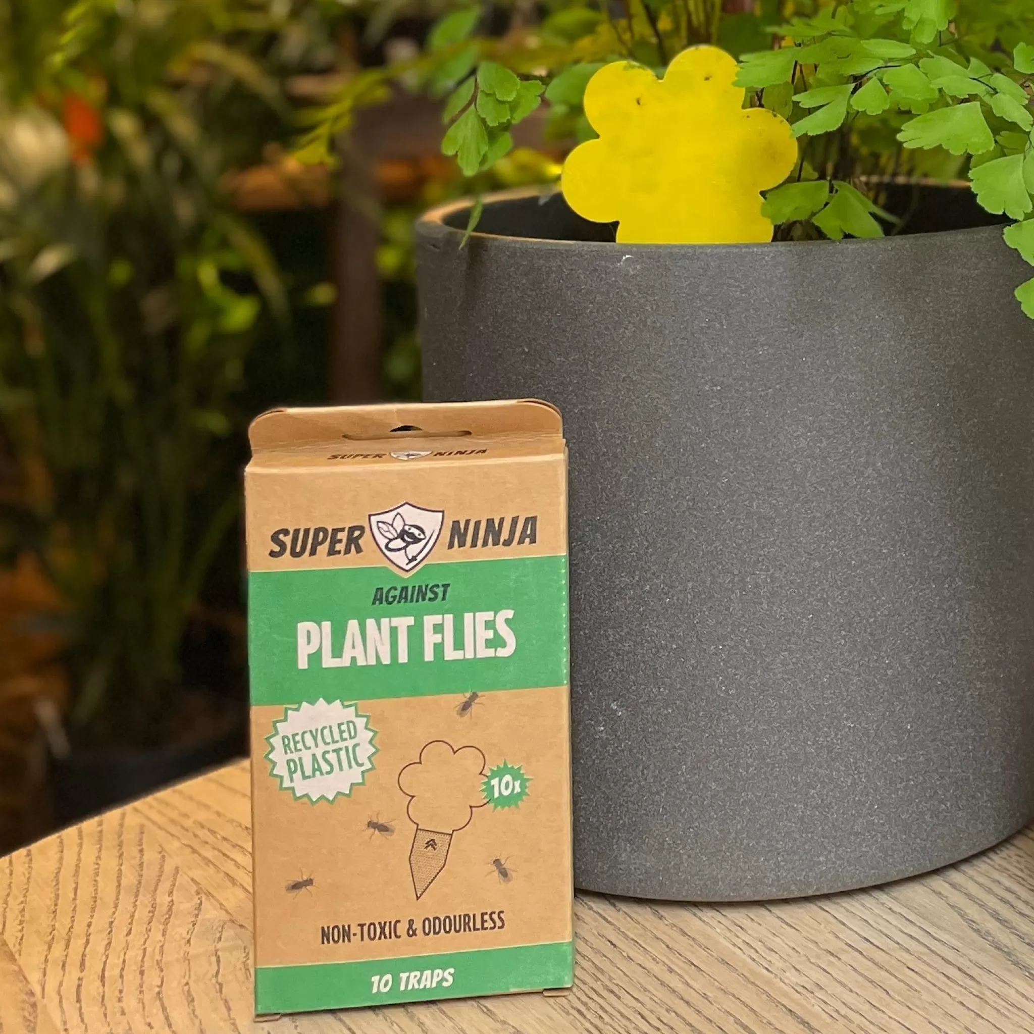 grow urban Fungus Gnat & Whitefly Traps | Super Ninja (10 Pack)- Indoor Plant Care