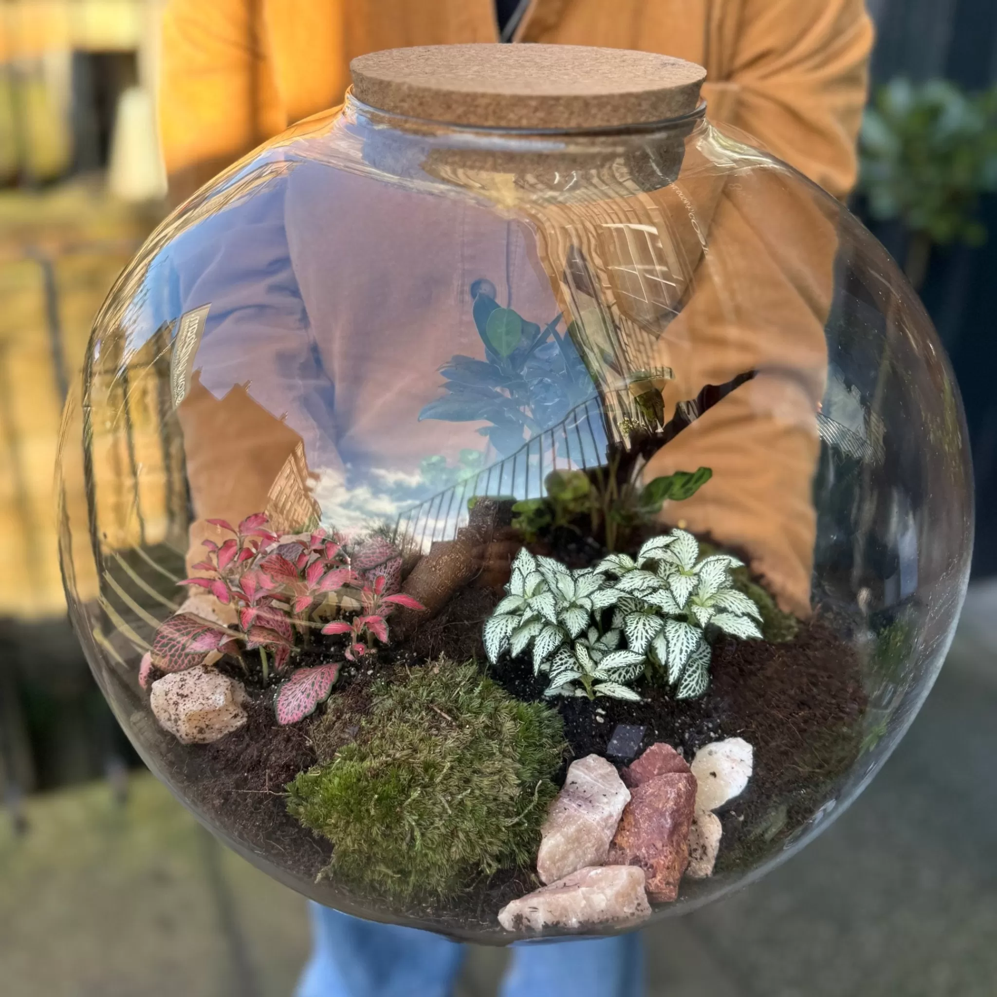 grow urban Giant Terrarium- Gift Ideas | Gift Ideas