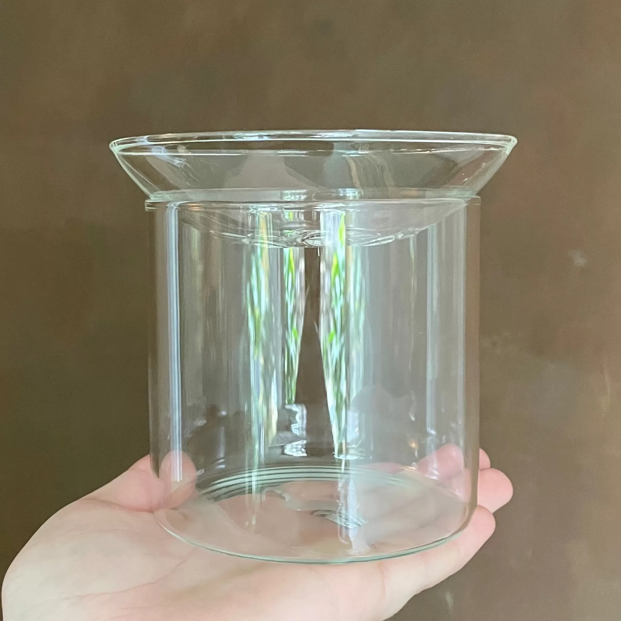 grow urban Glass Propagation Vase- Home Decor & Hardware | Indoor Plant Care