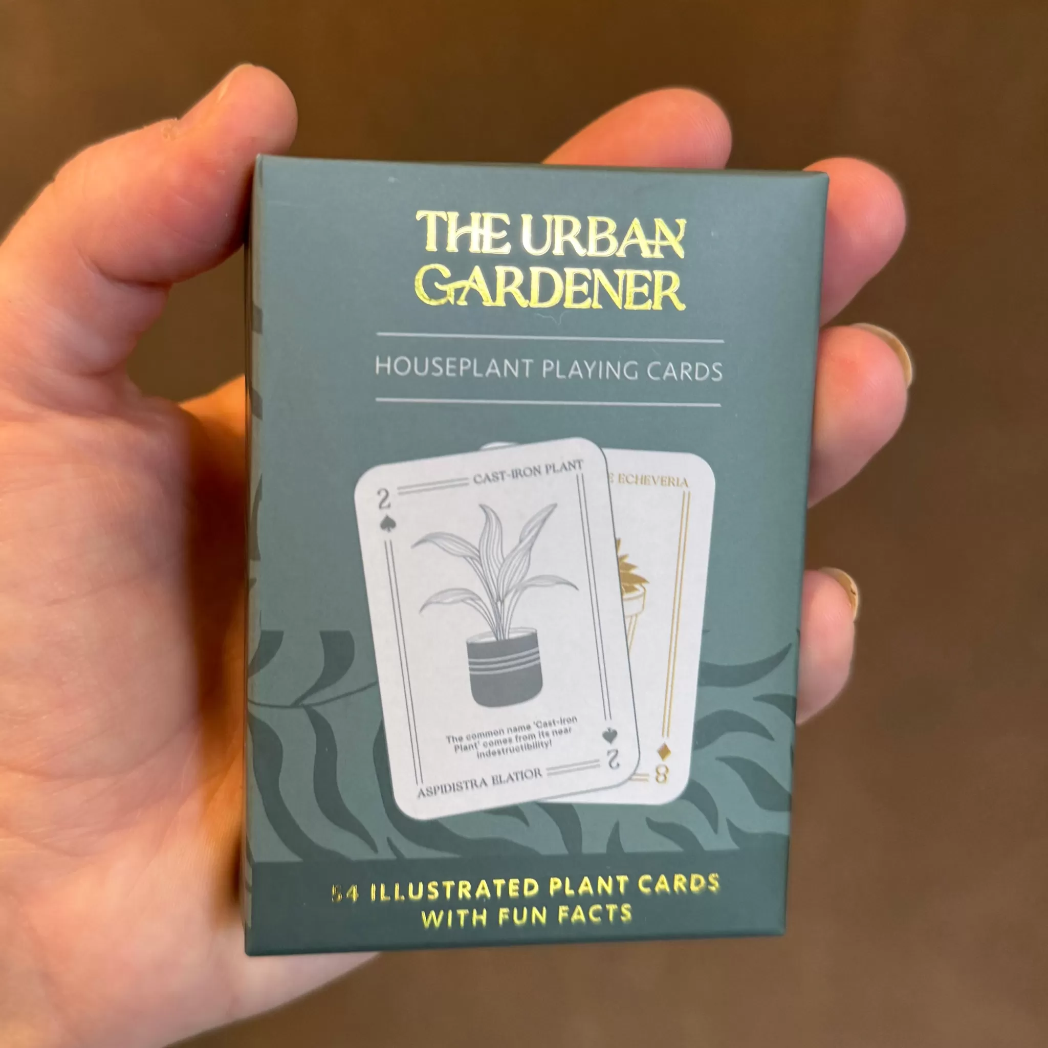 grow urban Houseplant Playing Cards | The Urban Gardener- Gift Ideas | Gift Ideas