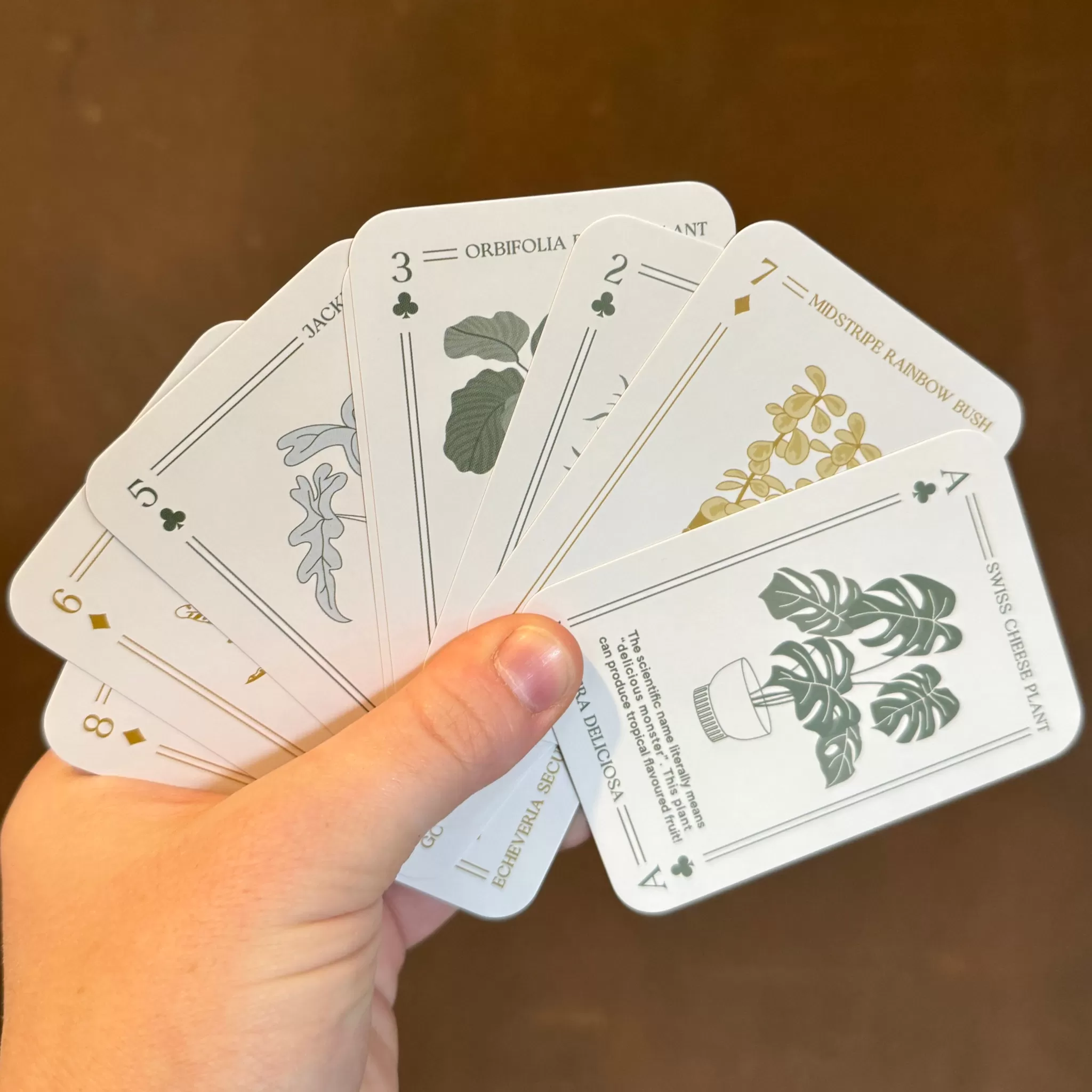 grow urban Houseplant Playing Cards | The Urban Gardener- Gift Ideas | Gift Ideas