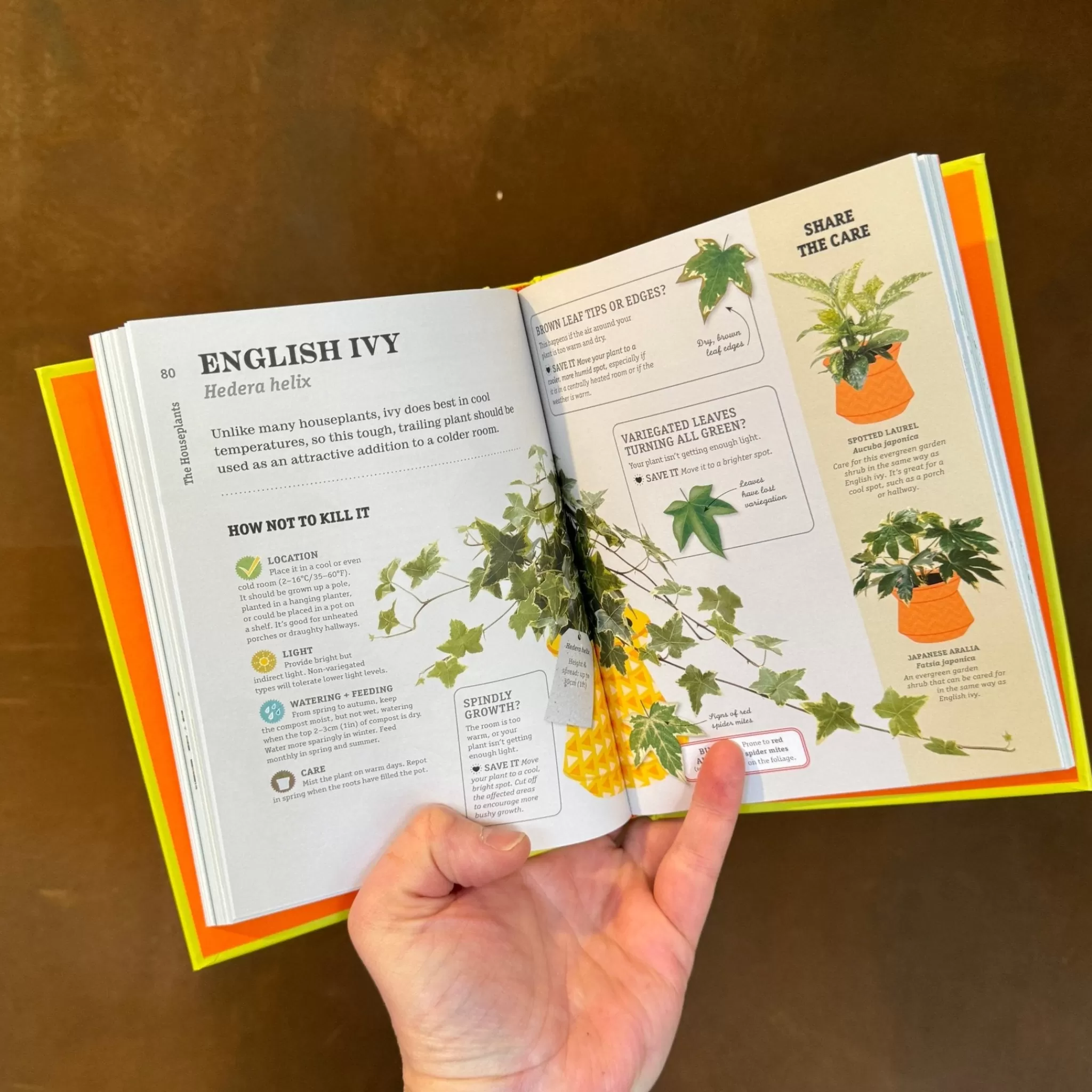 grow urban How Not To Kill Your Houseplant- Books | Stocking Fillers