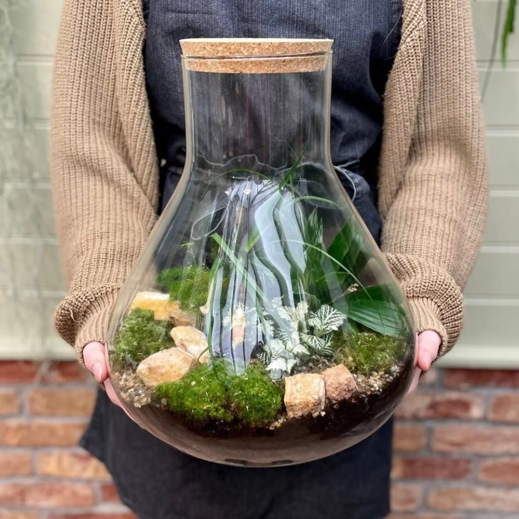 grow urban Large Flask Terrarium- Gift Ideas | Gift Ideas