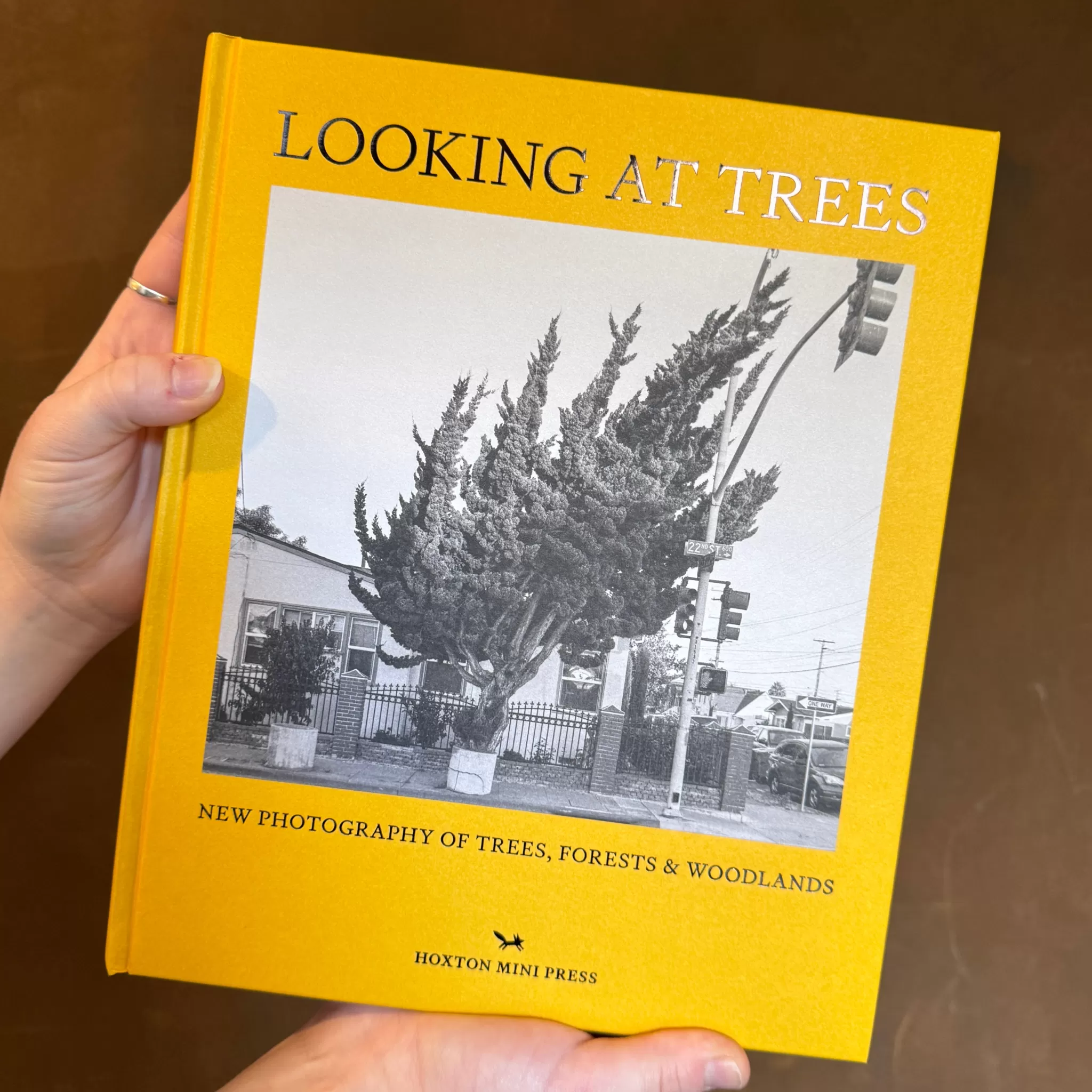 grow urban Looking At Trees: New Photography Of Trees, Forests And Woodlands- Books | Gift Ideas
