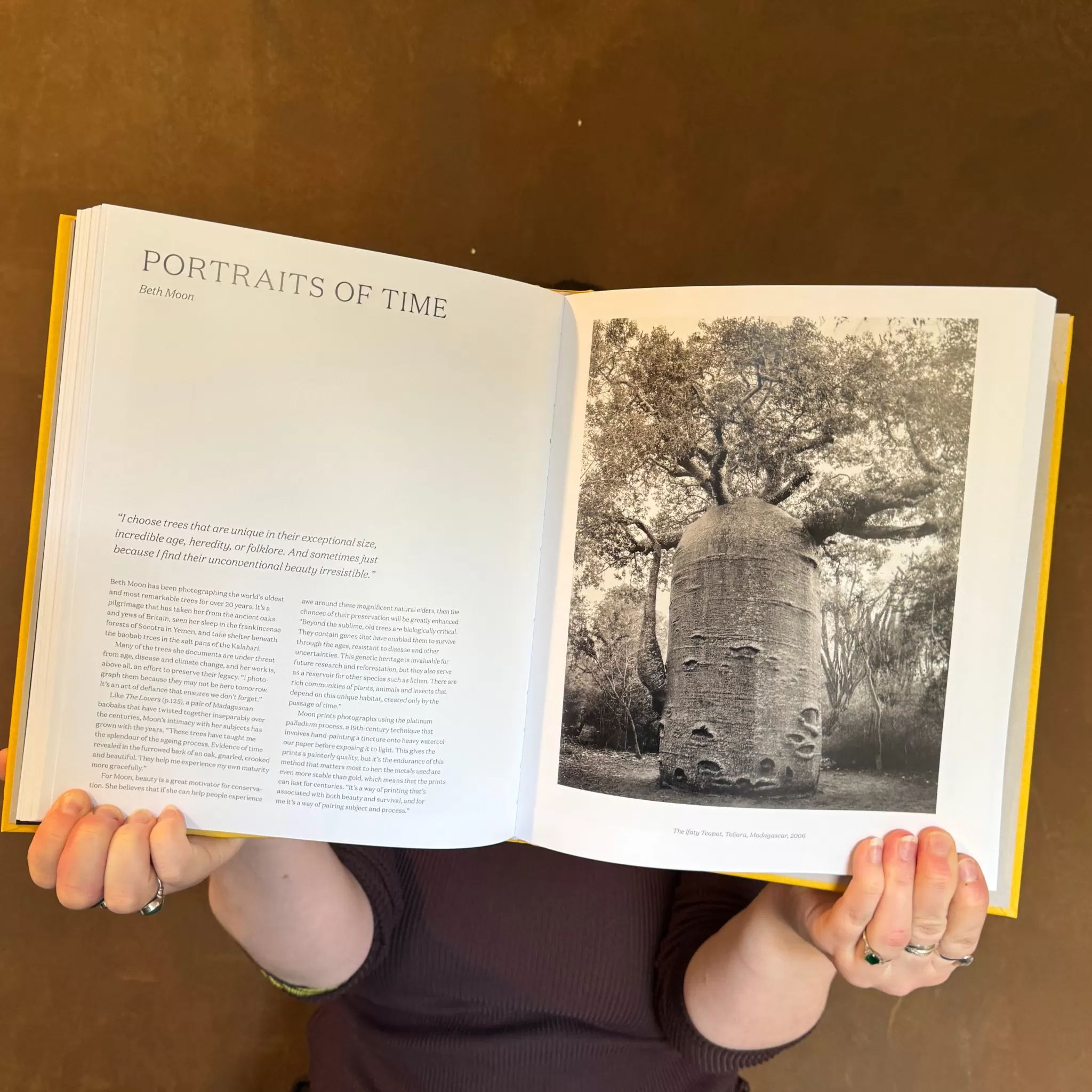 grow urban Looking At Trees: New Photography Of Trees, Forests And Woodlands- Books | Gift Ideas