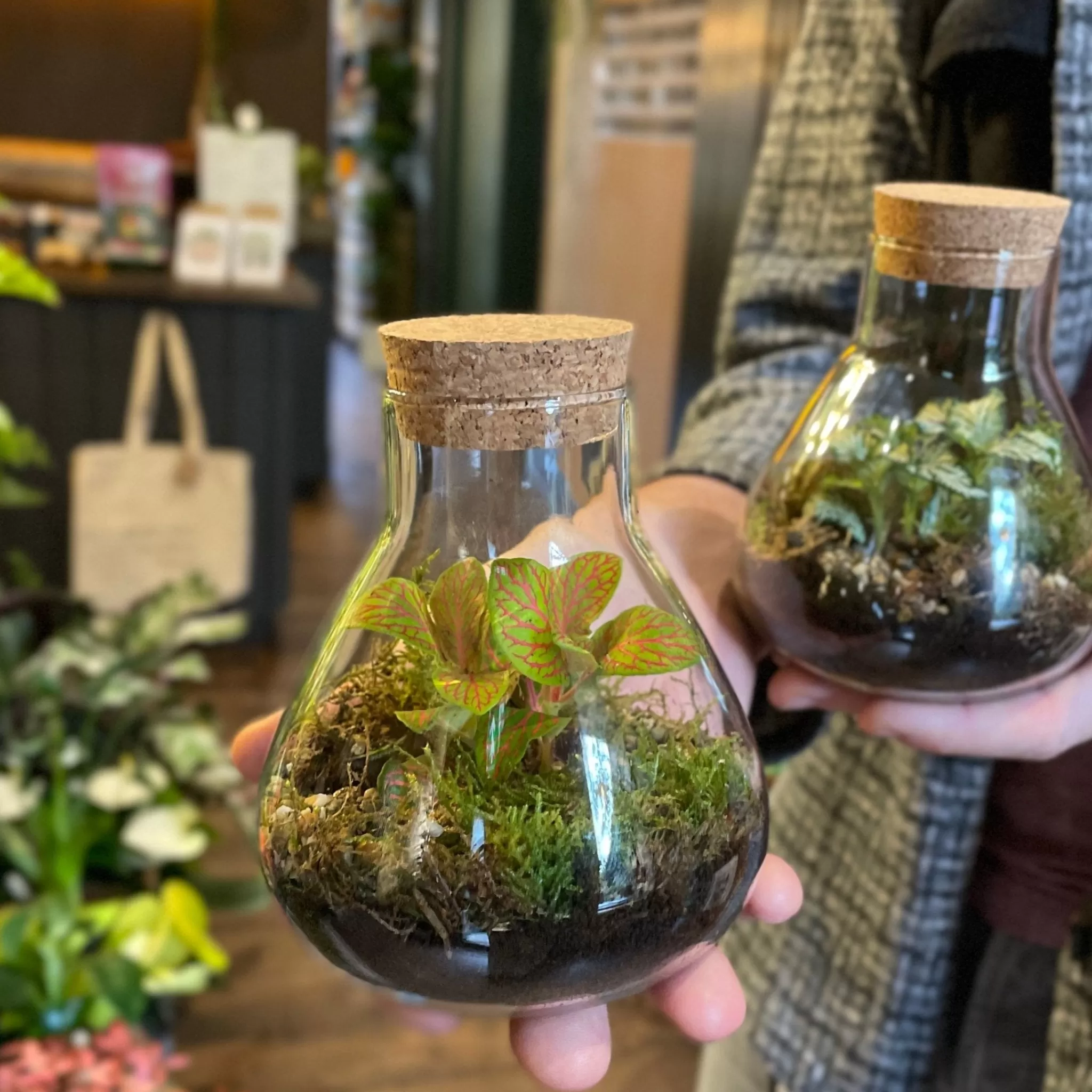 grow urban Mini Flask Terrarium- Gift Ideas | Gift Ideas