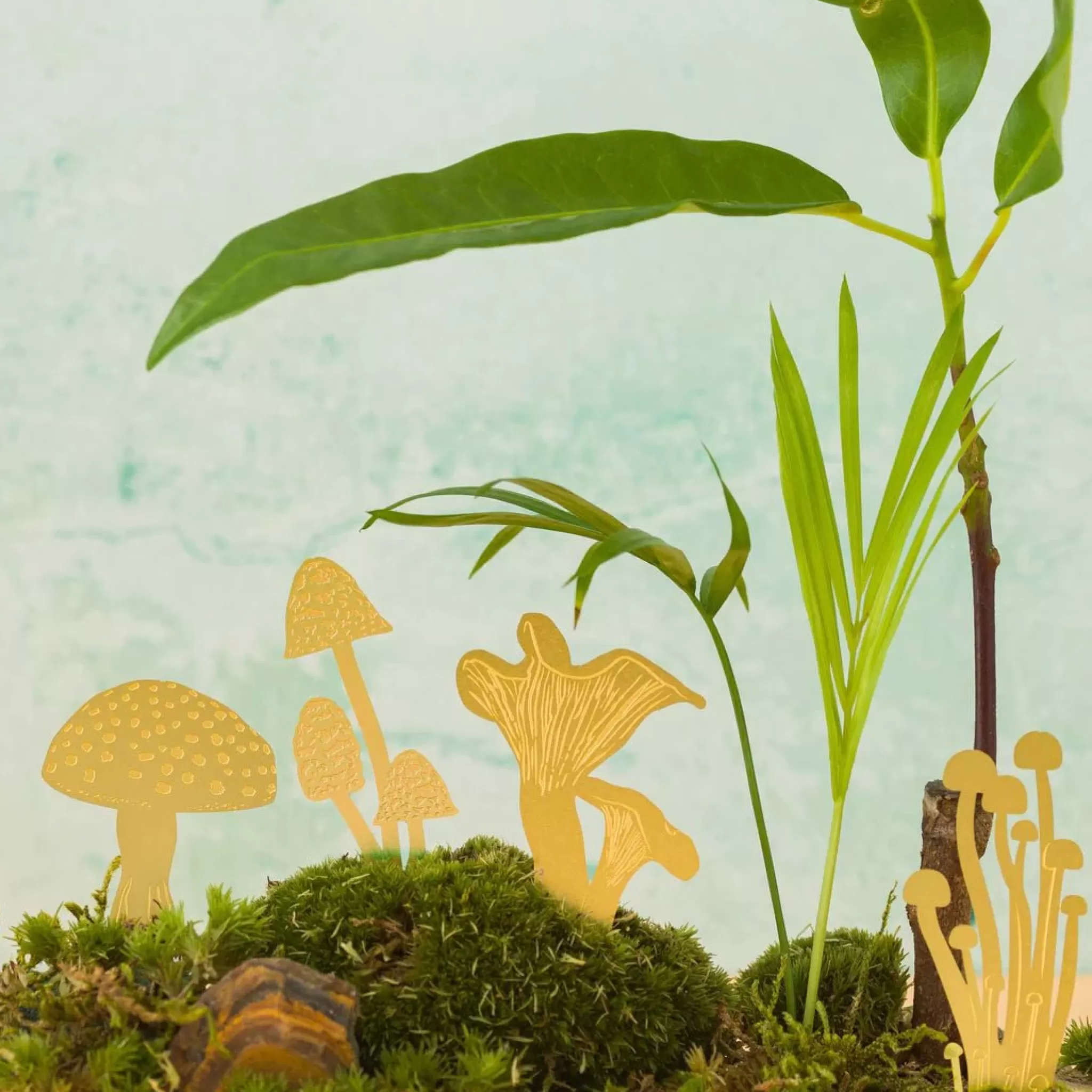 grow urban Mini Mushrooms | Brass- Stationery | Gift Ideas