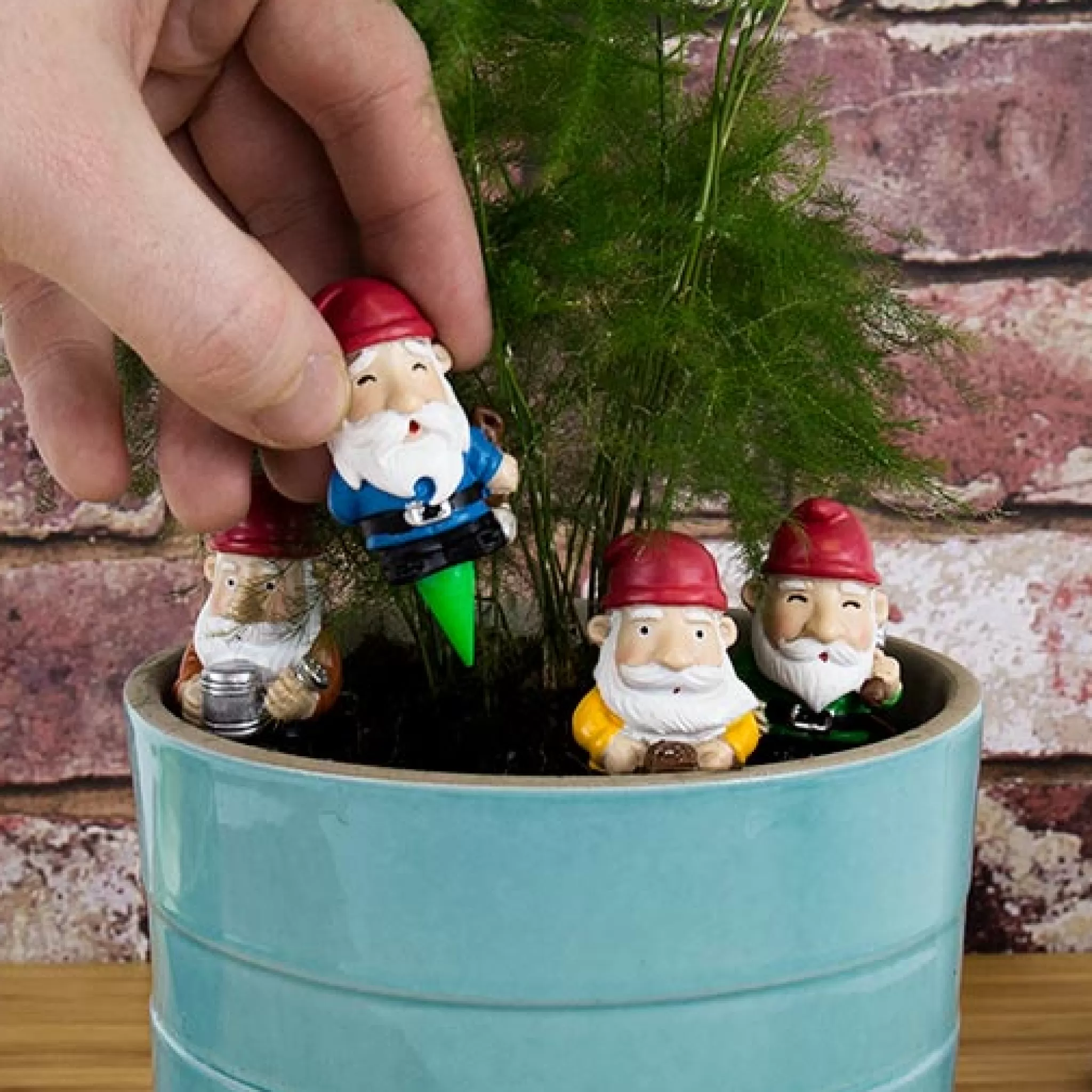 grow urban Mini Plant Pot Gnomes- Gift Ideas | Gift Ideas