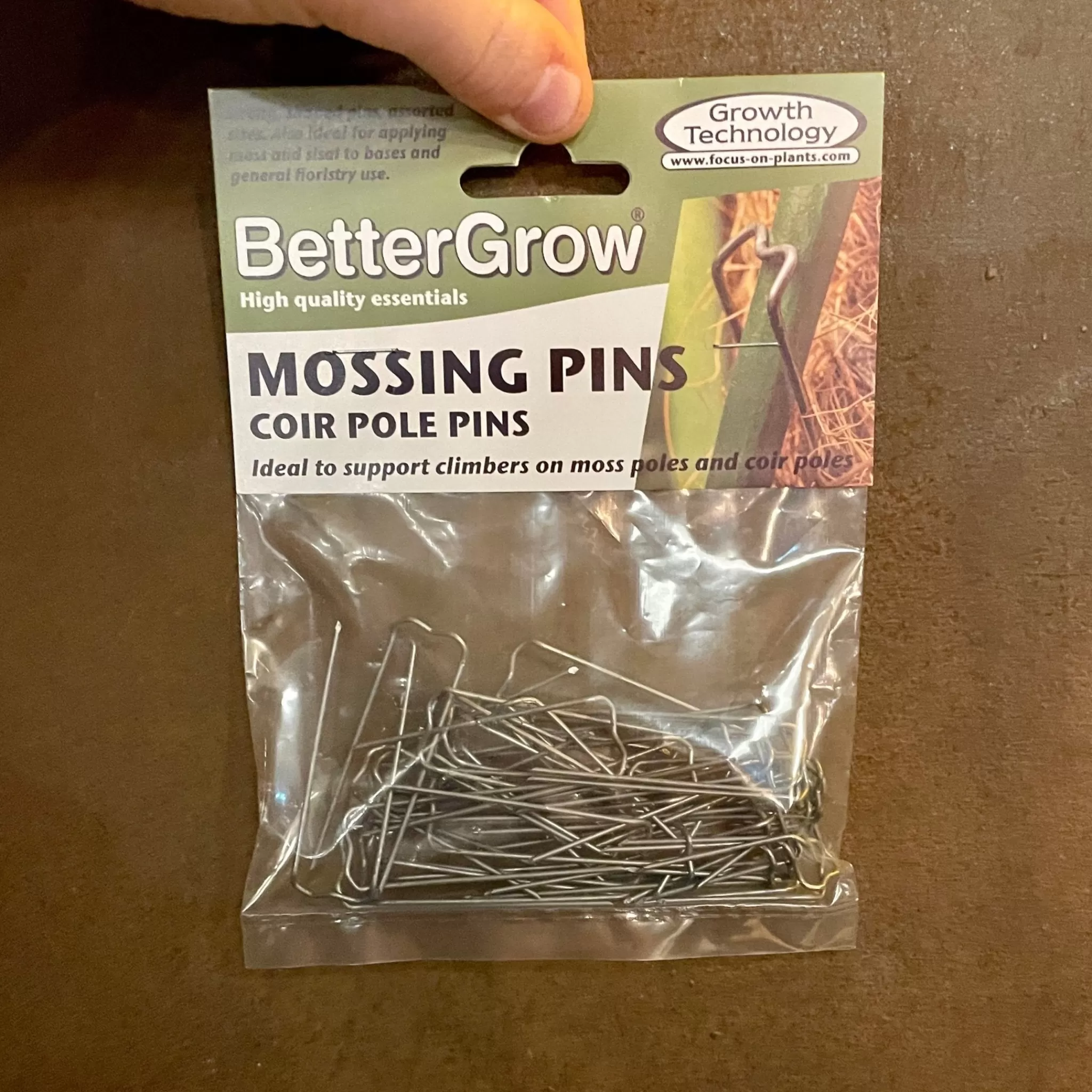 grow urban Mossing Pins- Indoor Plant Care