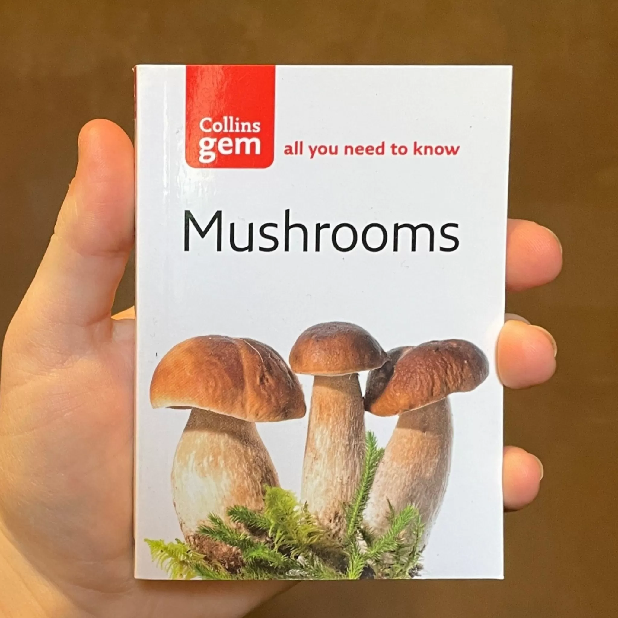 grow urban Mushrooms: All You Need To Know- Books | Gift Ideas