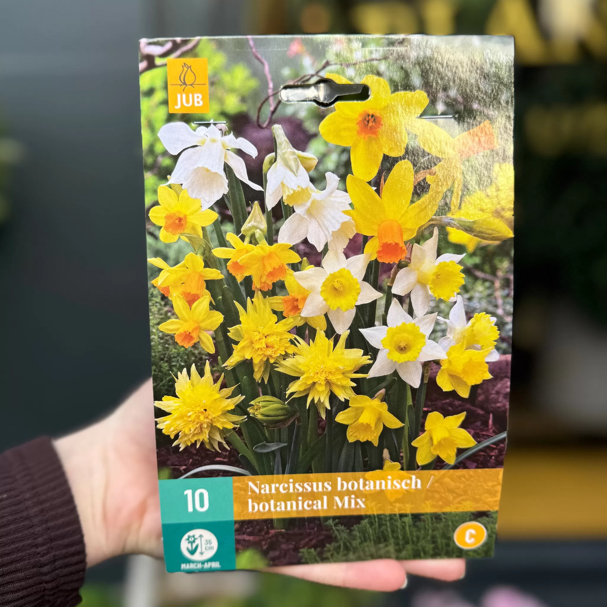 grow urban Narcissus Bulbs For Autumn Planting- Seeds & Bulbs | Outdoor Plants