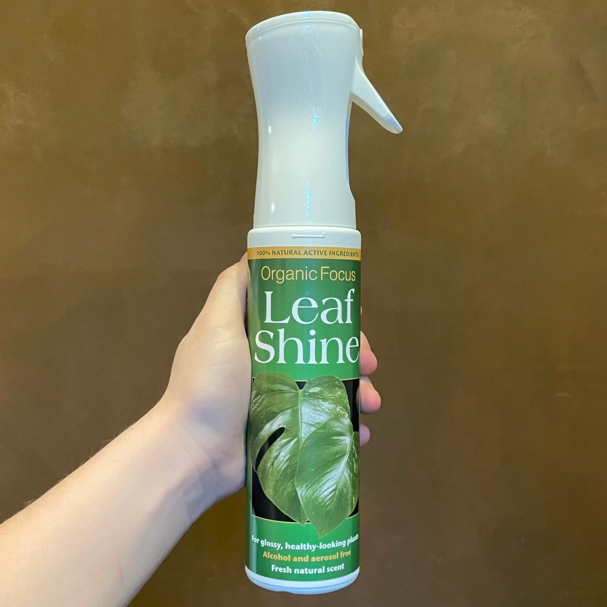 grow urban Organic Focus Leaf Shine- Stocking Fillers | Indoor Plant Care