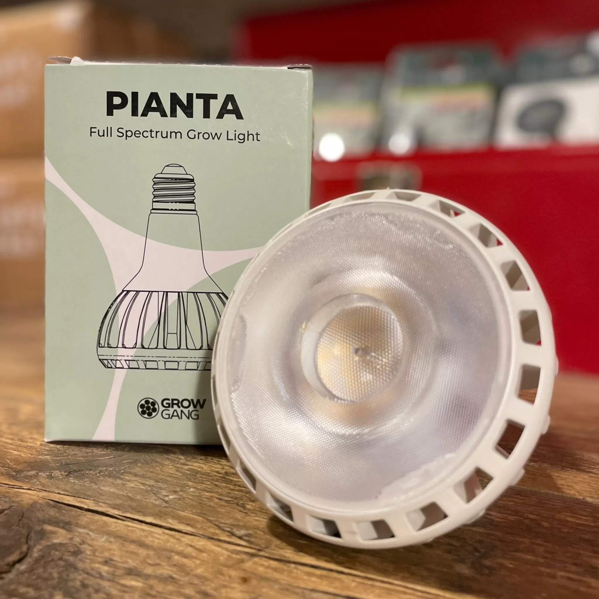 grow urban Pianta | LED Grow Light Bulb- Home Decor & Hardware | Gift Ideas