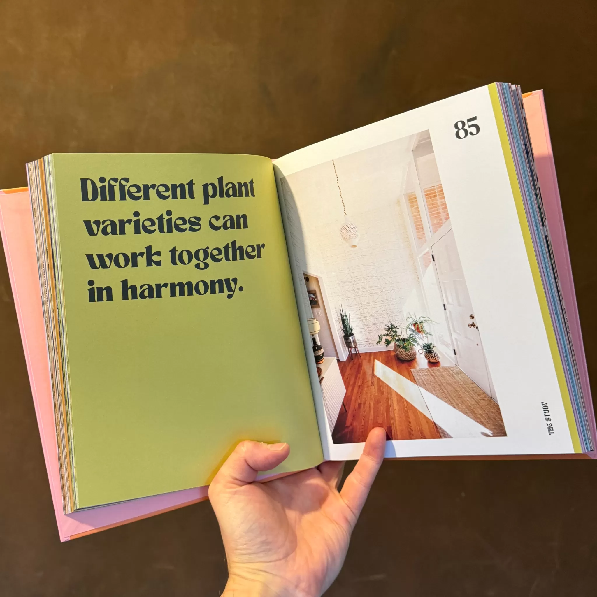 grow urban Plant House- Books | Gift Ideas