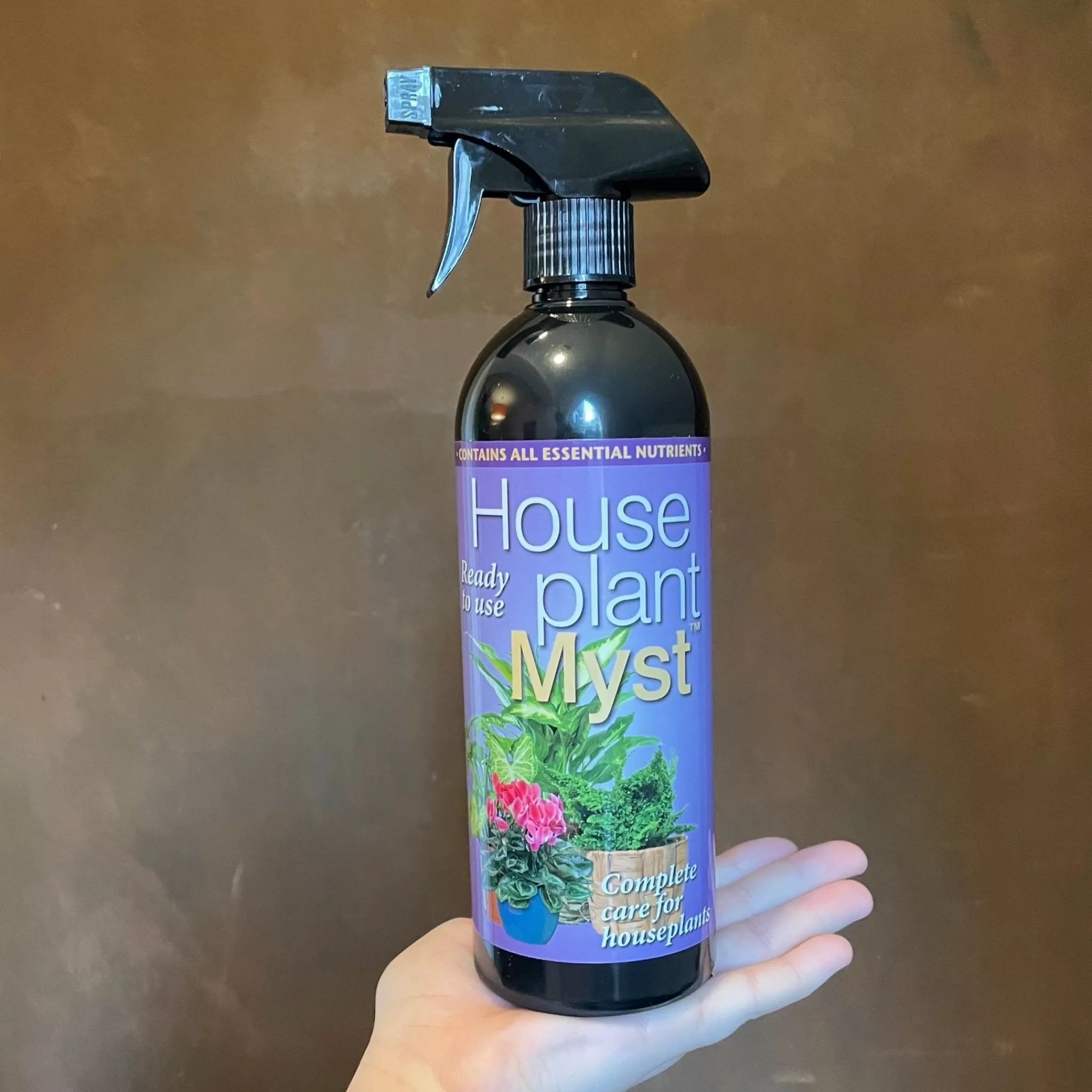 grow urban Plant Myst- Indoor Plant Care