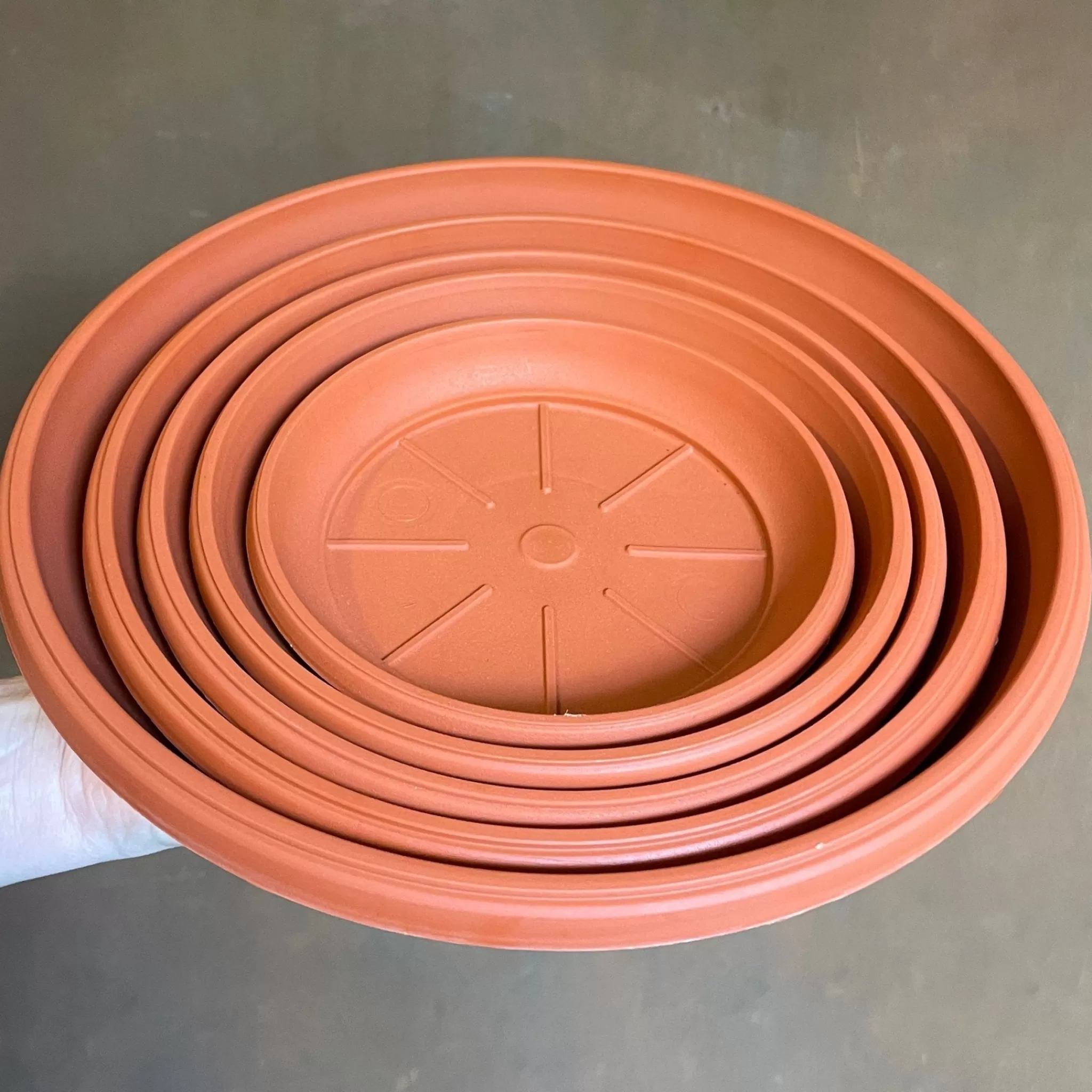 grow urban Plant Saucers For Growing Pots- Outdoor Plant Care | Outdoor Plant Care