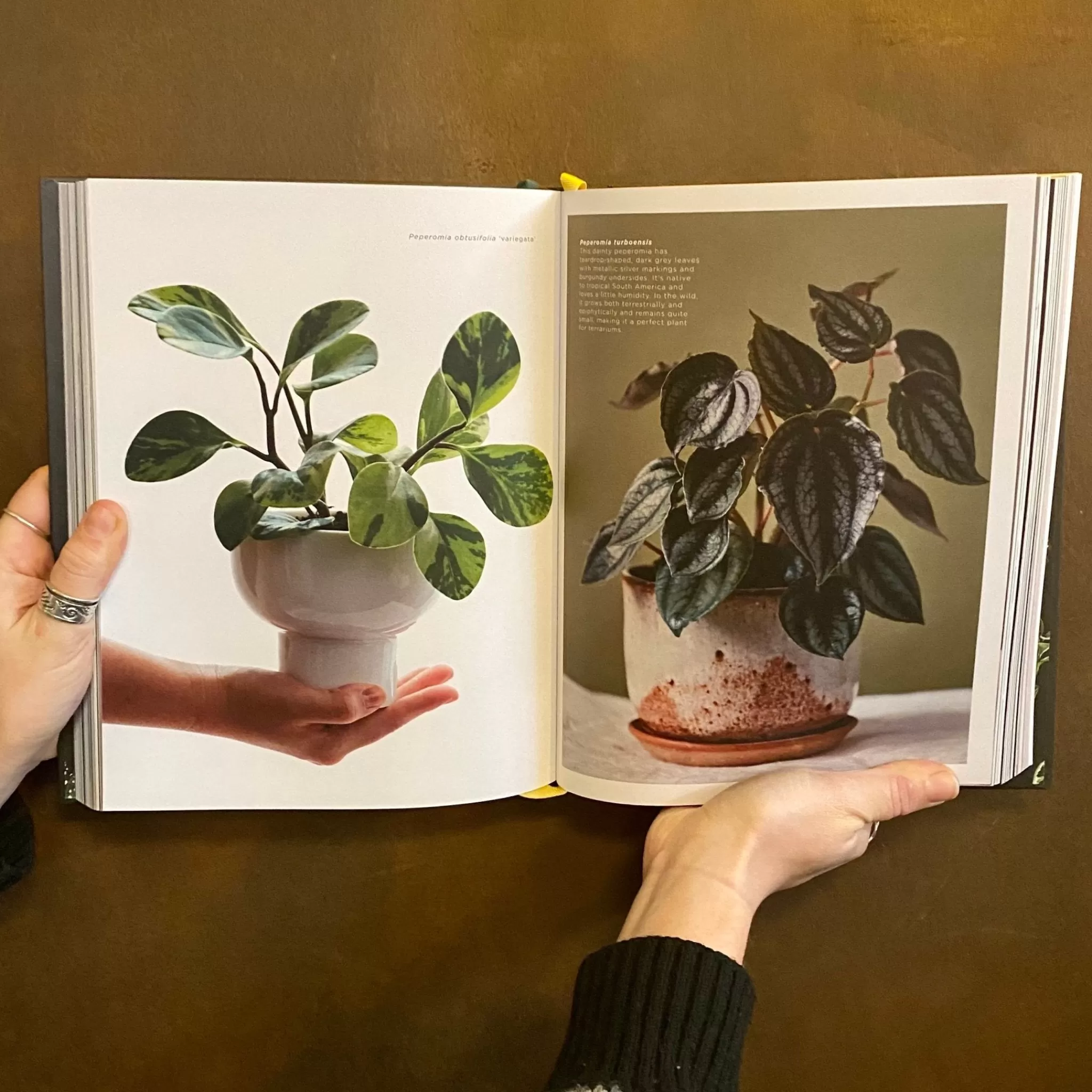 grow urban Plantopedia- Books | Gift Ideas