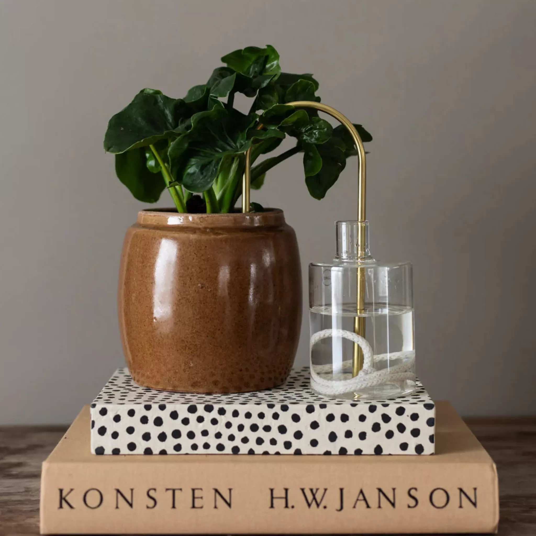 grow urban Plantstraws- Home Decor & Hardware | Gift Ideas