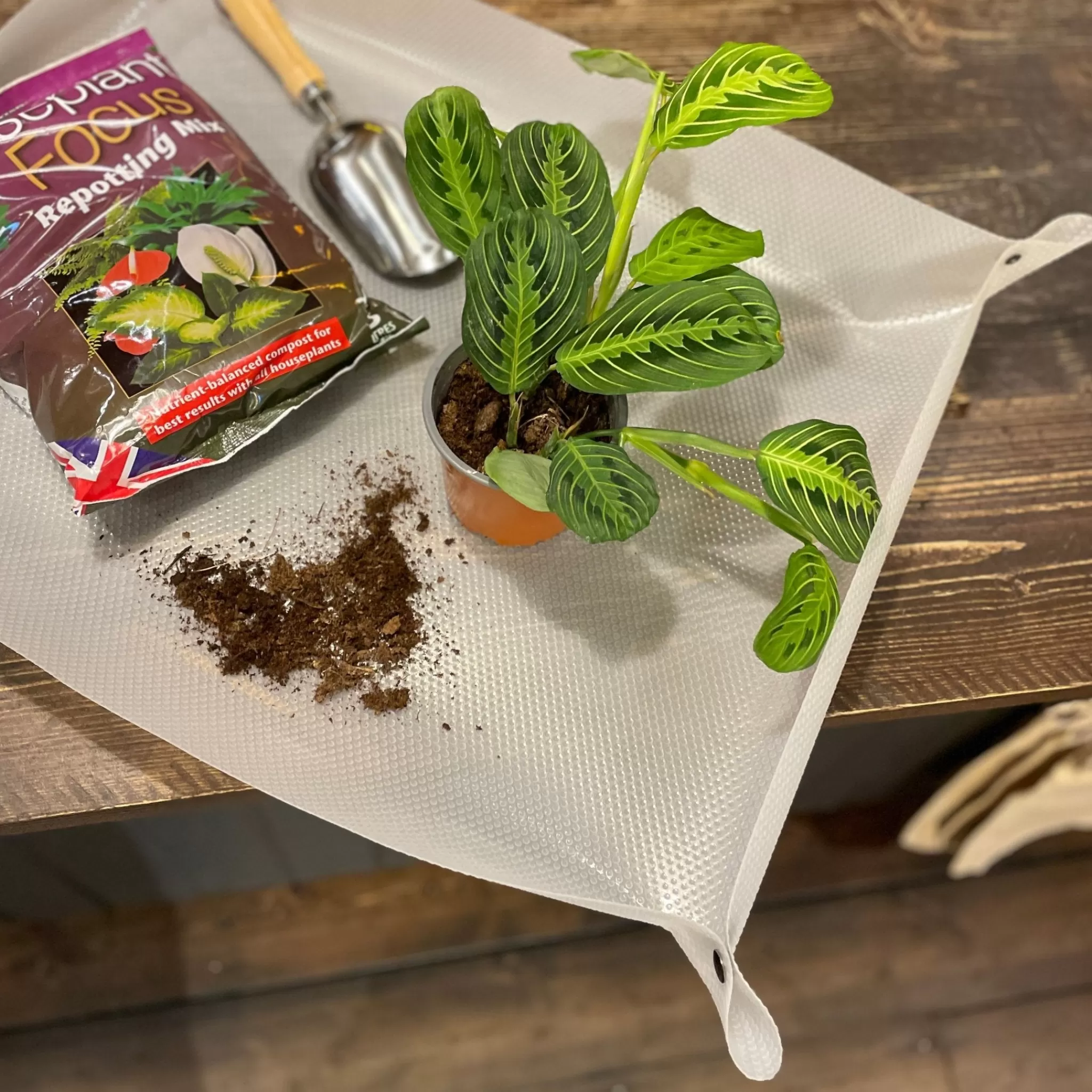 grow urban Repotting Mat | 60cm X 80cm- Indoor Plant Care
