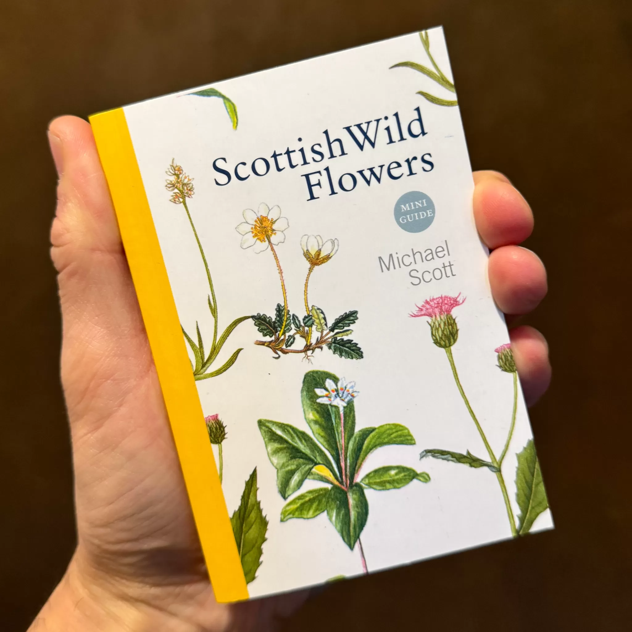 grow urban Scottish Wild Flowers (A Mini Guide)- Books
