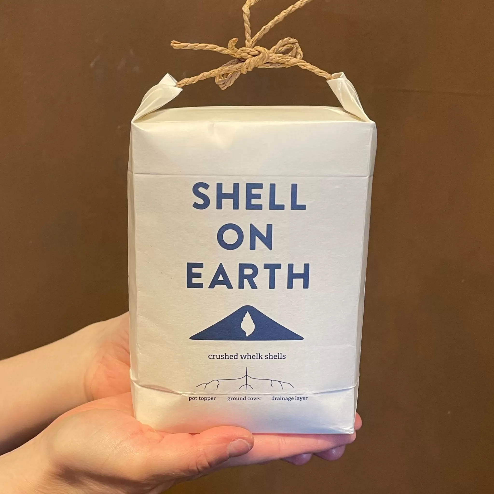 grow urban Shell On Earth- Build Your Own Terrarium | Outdoor Plant Care