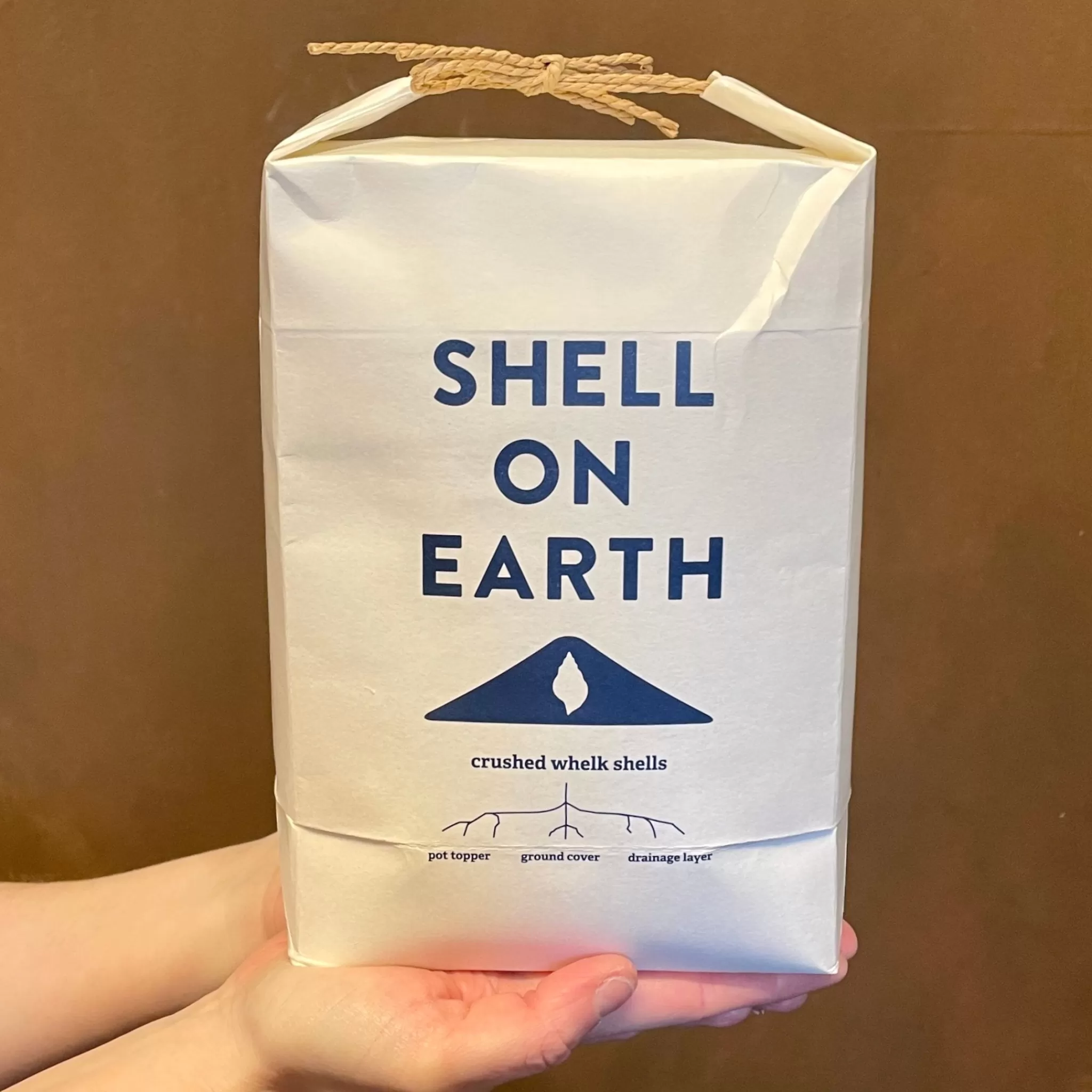 grow urban Shell On Earth- Build Your Own Terrarium | Outdoor Plant Care