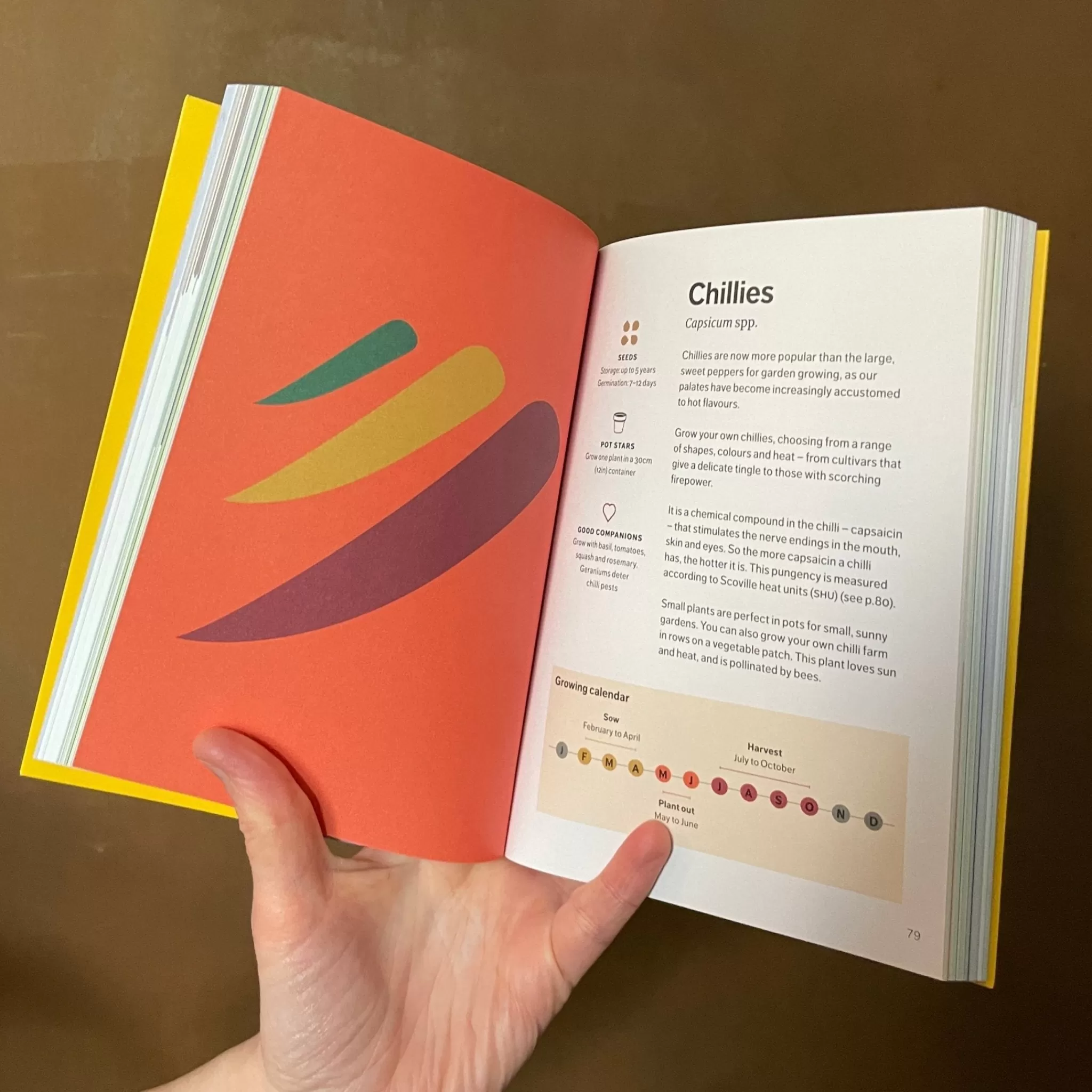 grow urban SowHow: A Modern Guide To Grow-Your-Own Veg- Books | Outdoor Plant Care