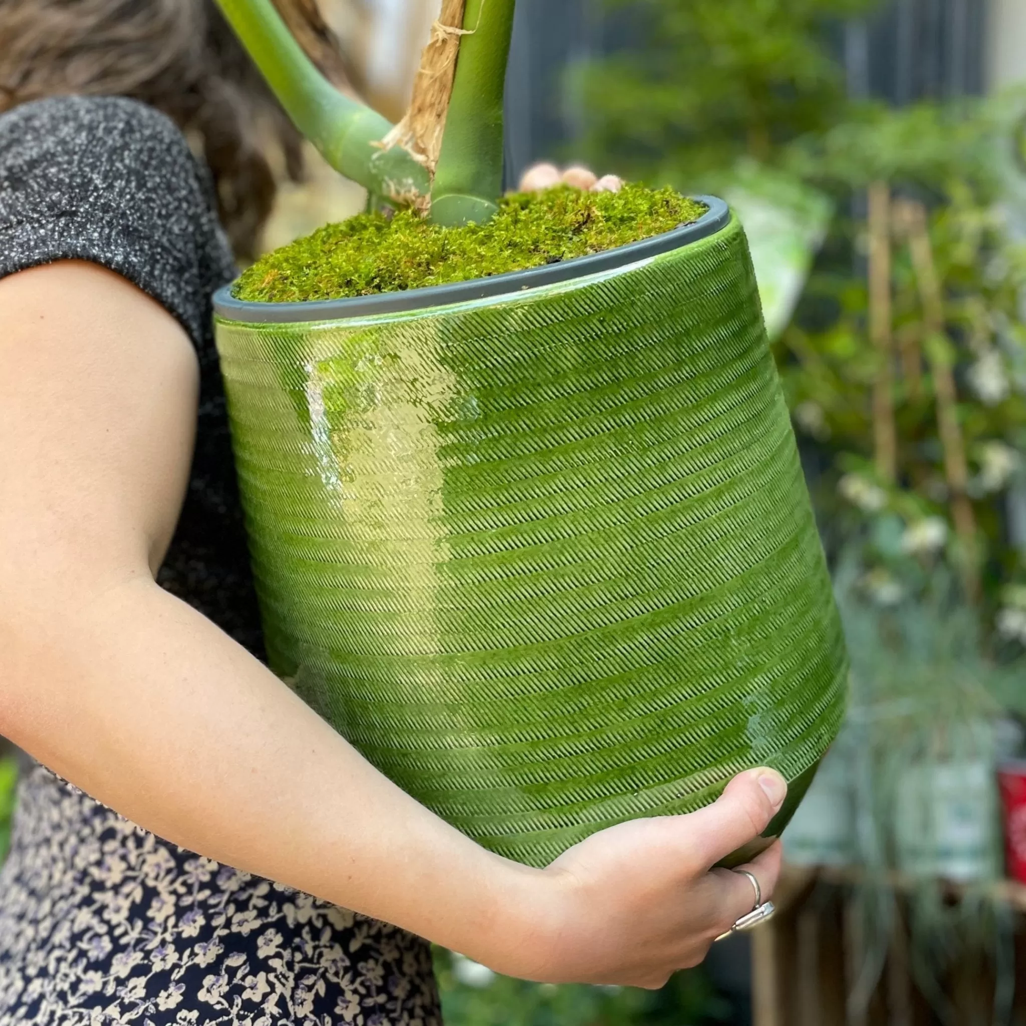 grow urban Strike Pot - Green Glaze | 23cm- Indoor Pots