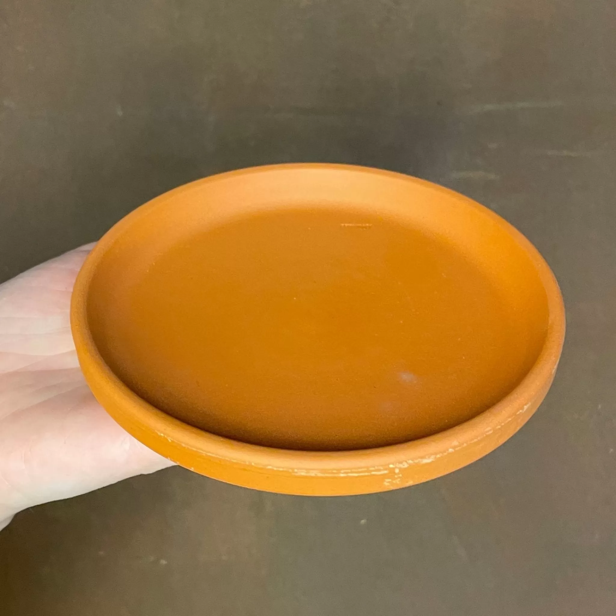 grow urban Terracotta Saucers- Indoor Plant Care