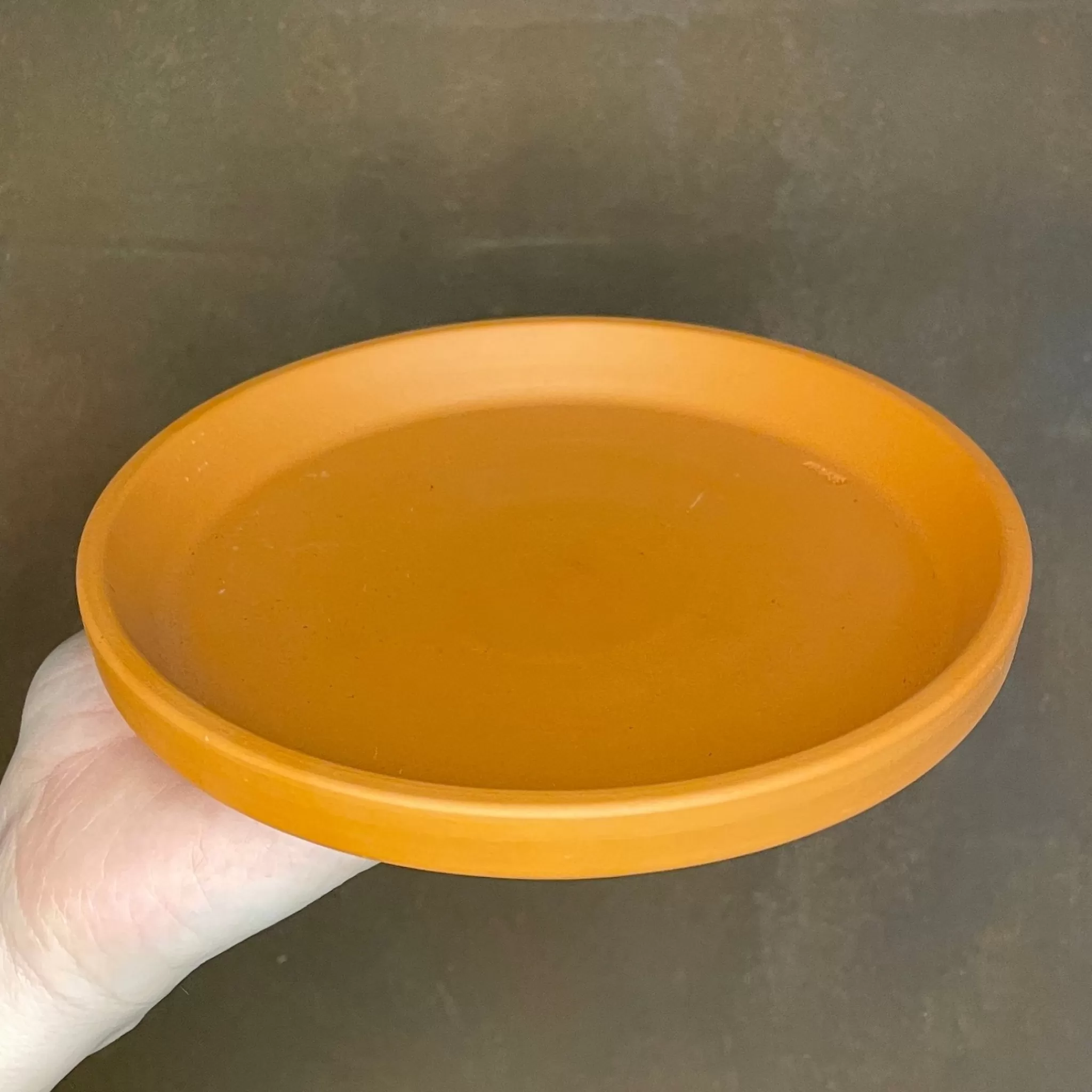 grow urban Terracotta Saucers- Indoor Plant Care