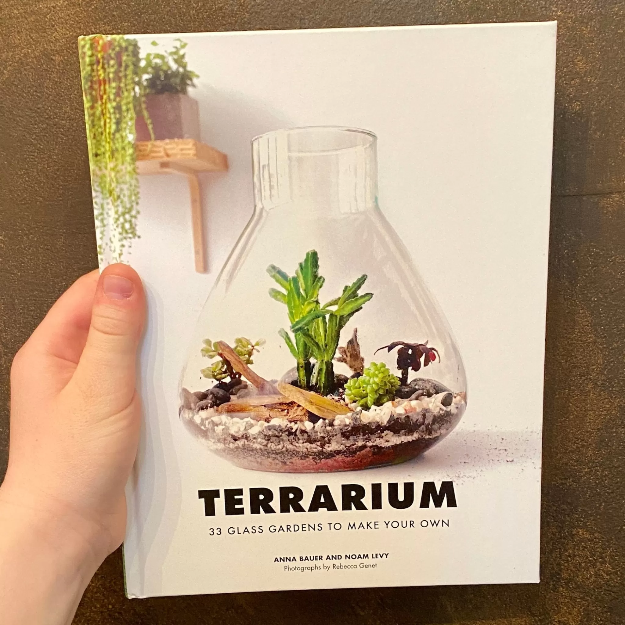 grow urban Terrarium: 33 Glass Gardens To Make Your Own- Books | Build Your Own Terrarium