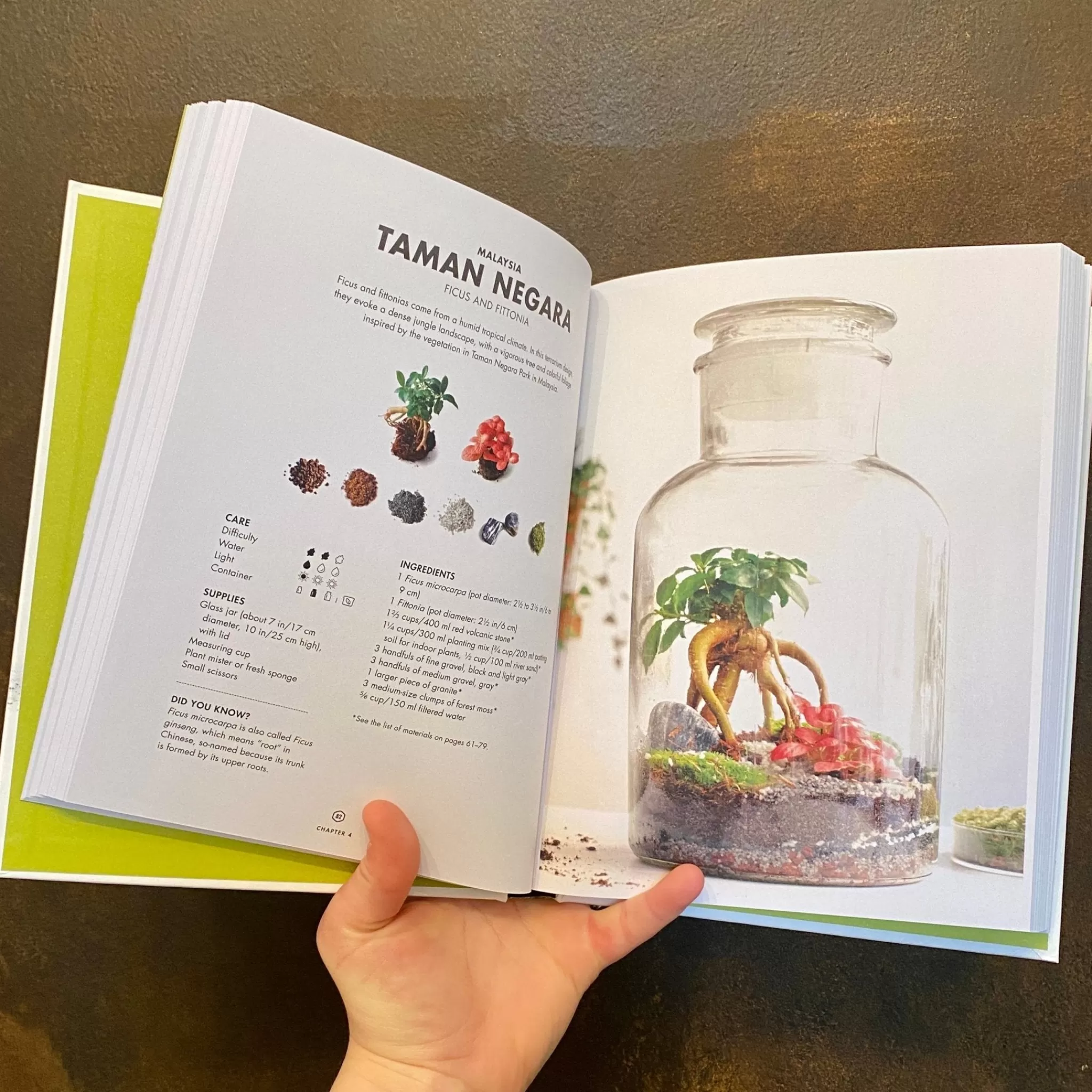 grow urban Terrarium: 33 Glass Gardens To Make Your Own- Books | Build Your Own Terrarium