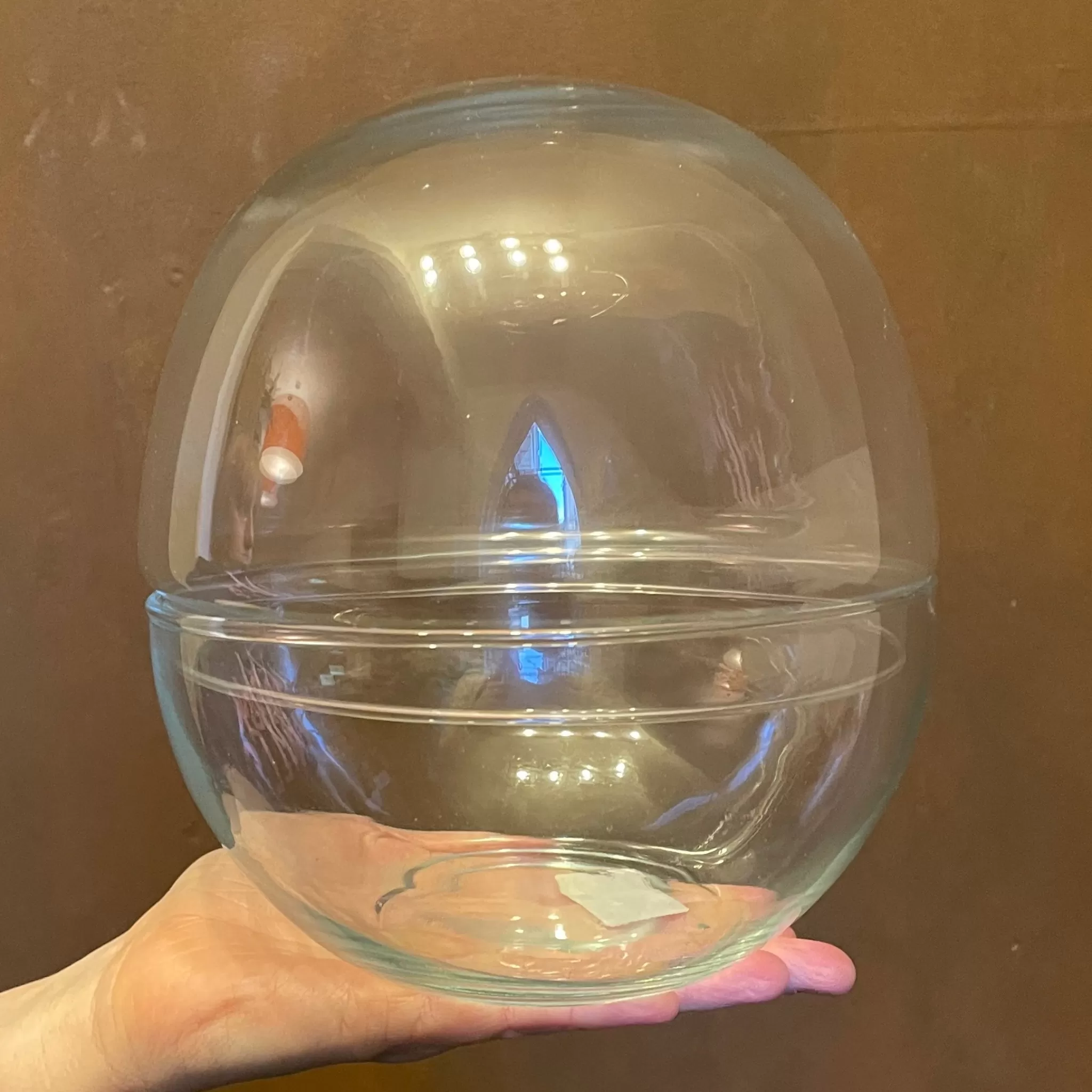grow urban Terrarium Vessel - Bio Dome- Build Your Own Terrarium